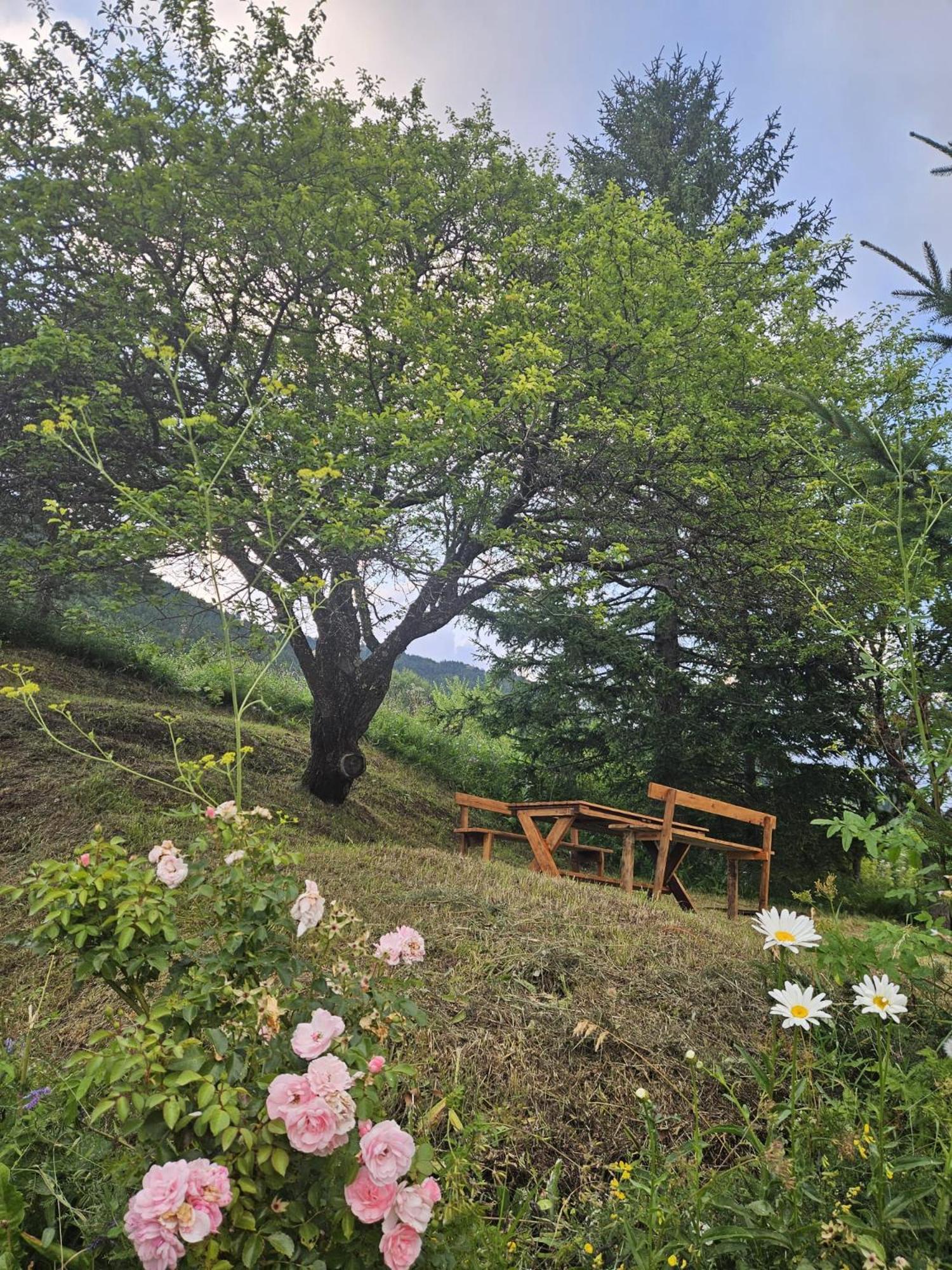 Planinska kuća Ruža