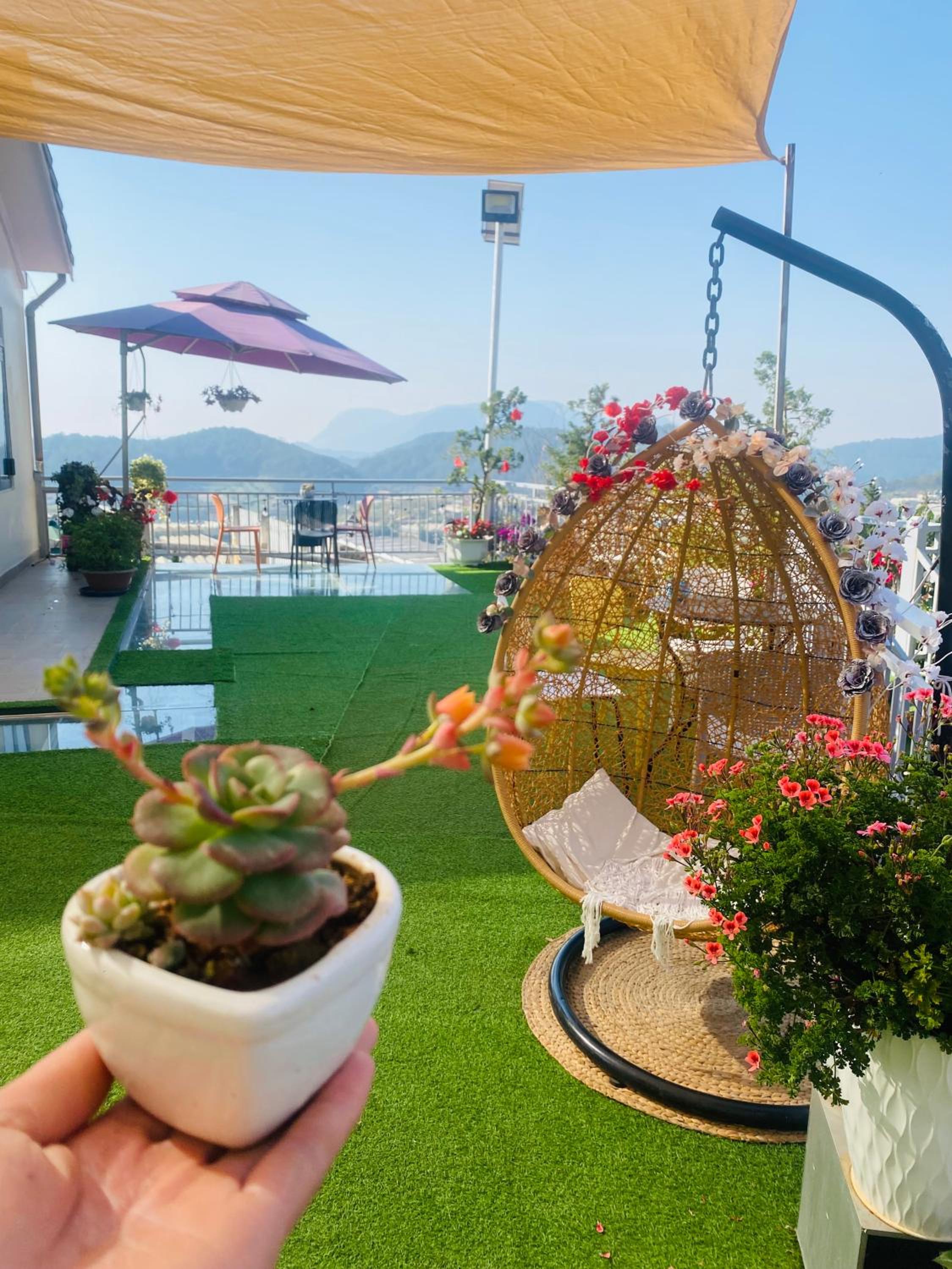 balance & terrace