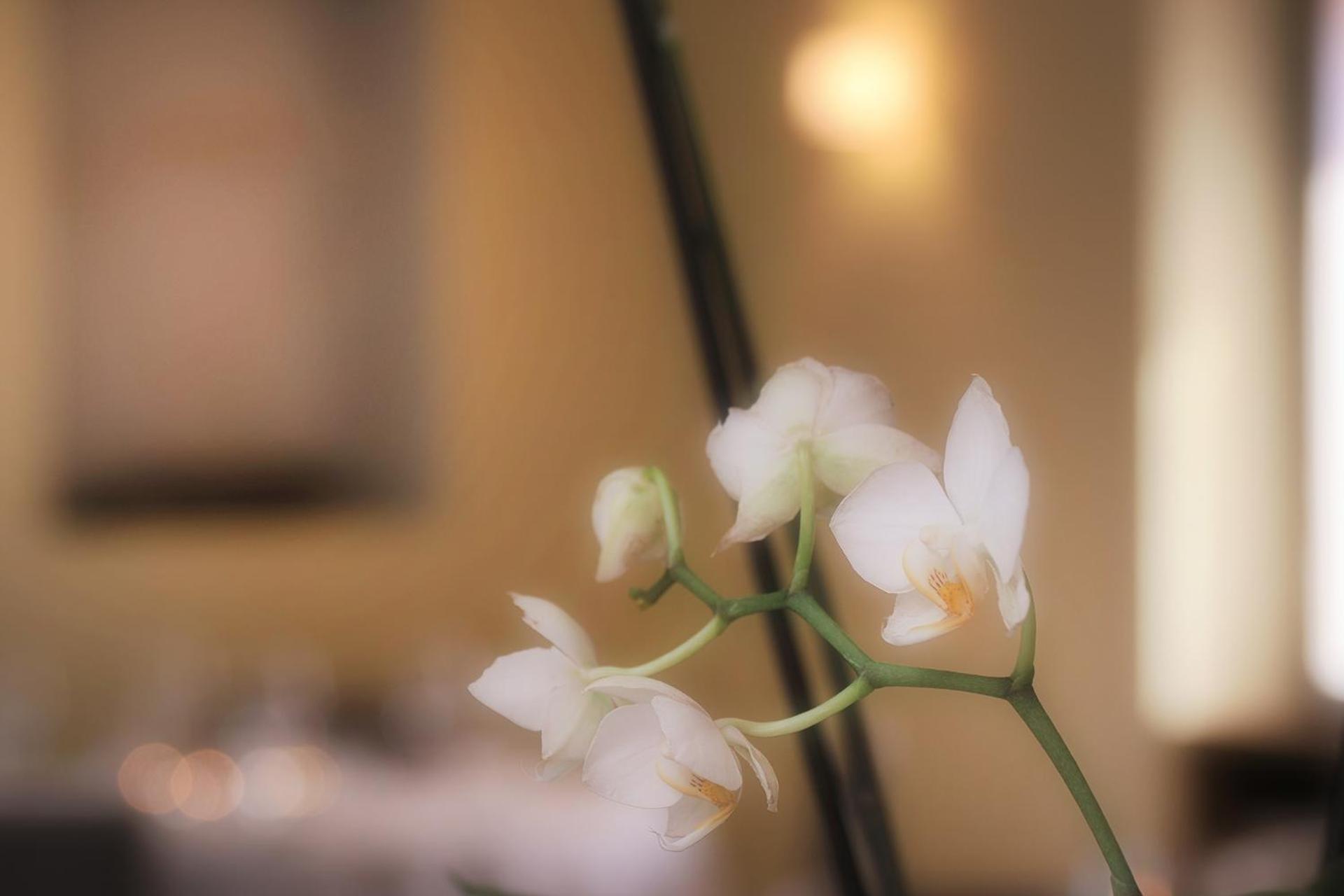 Charme Hotel Ristorante Tre Terre