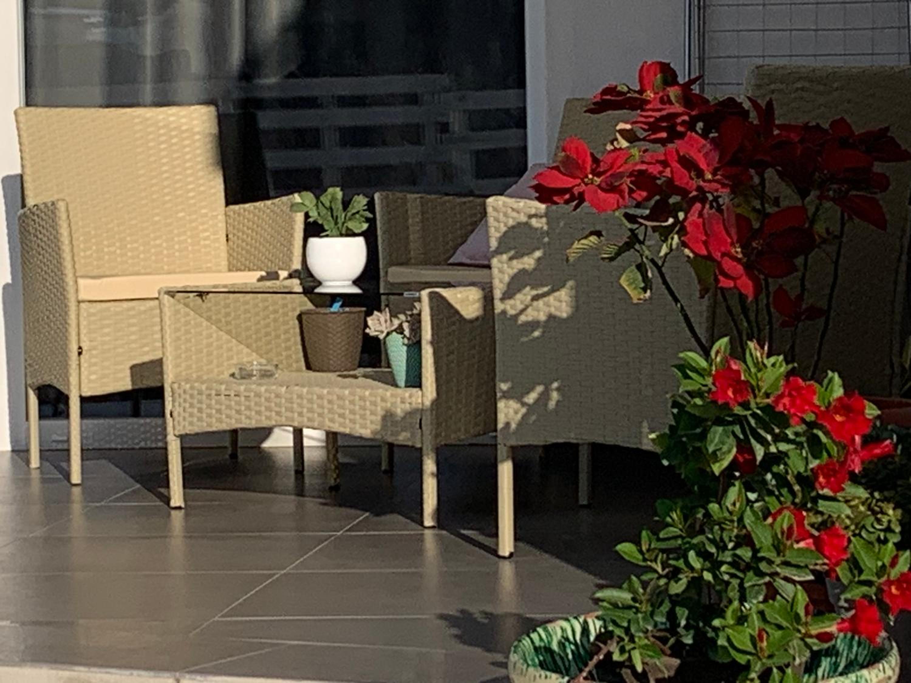 White House monolocale photo 2