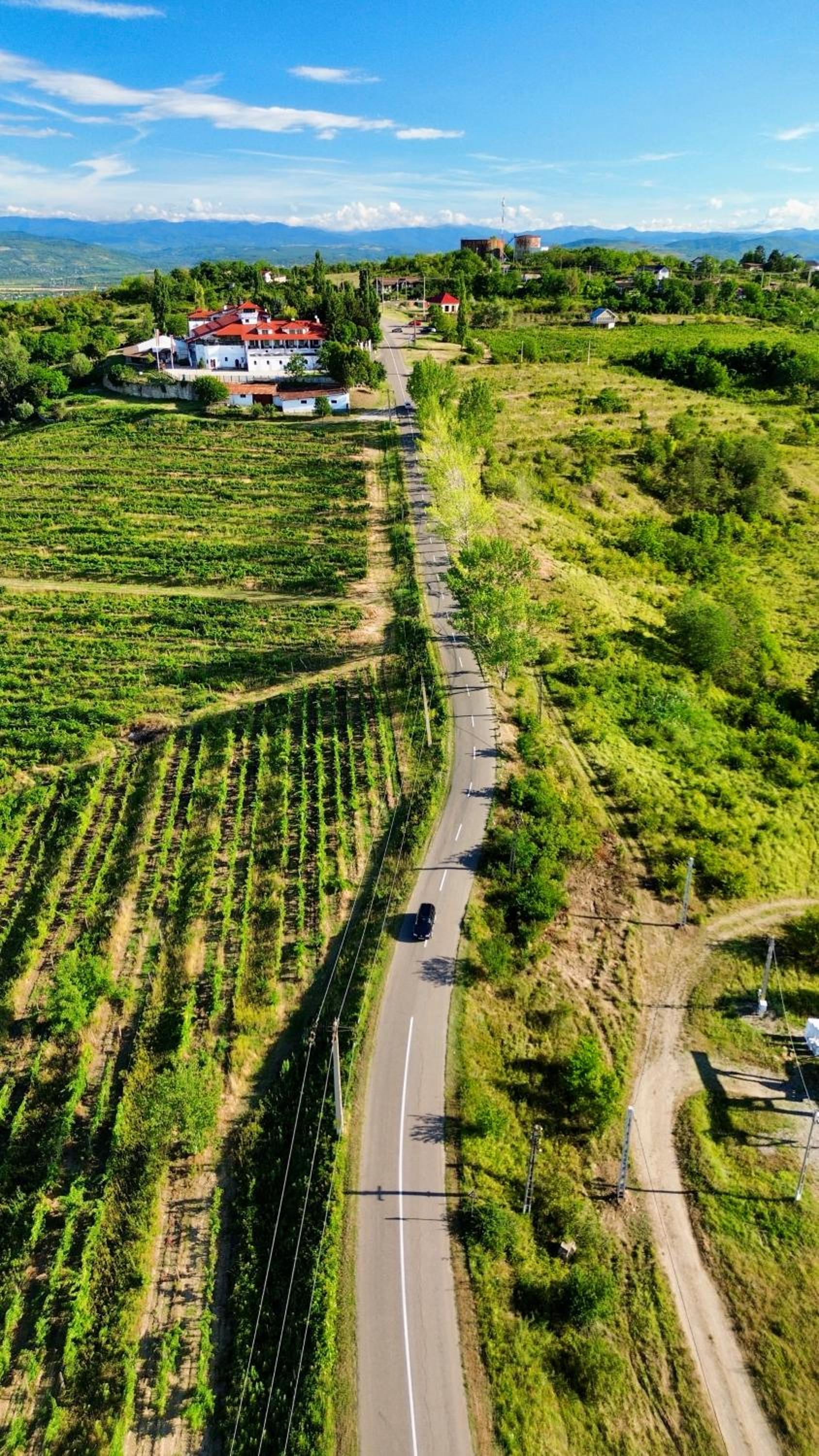 Casa Seciu view 4