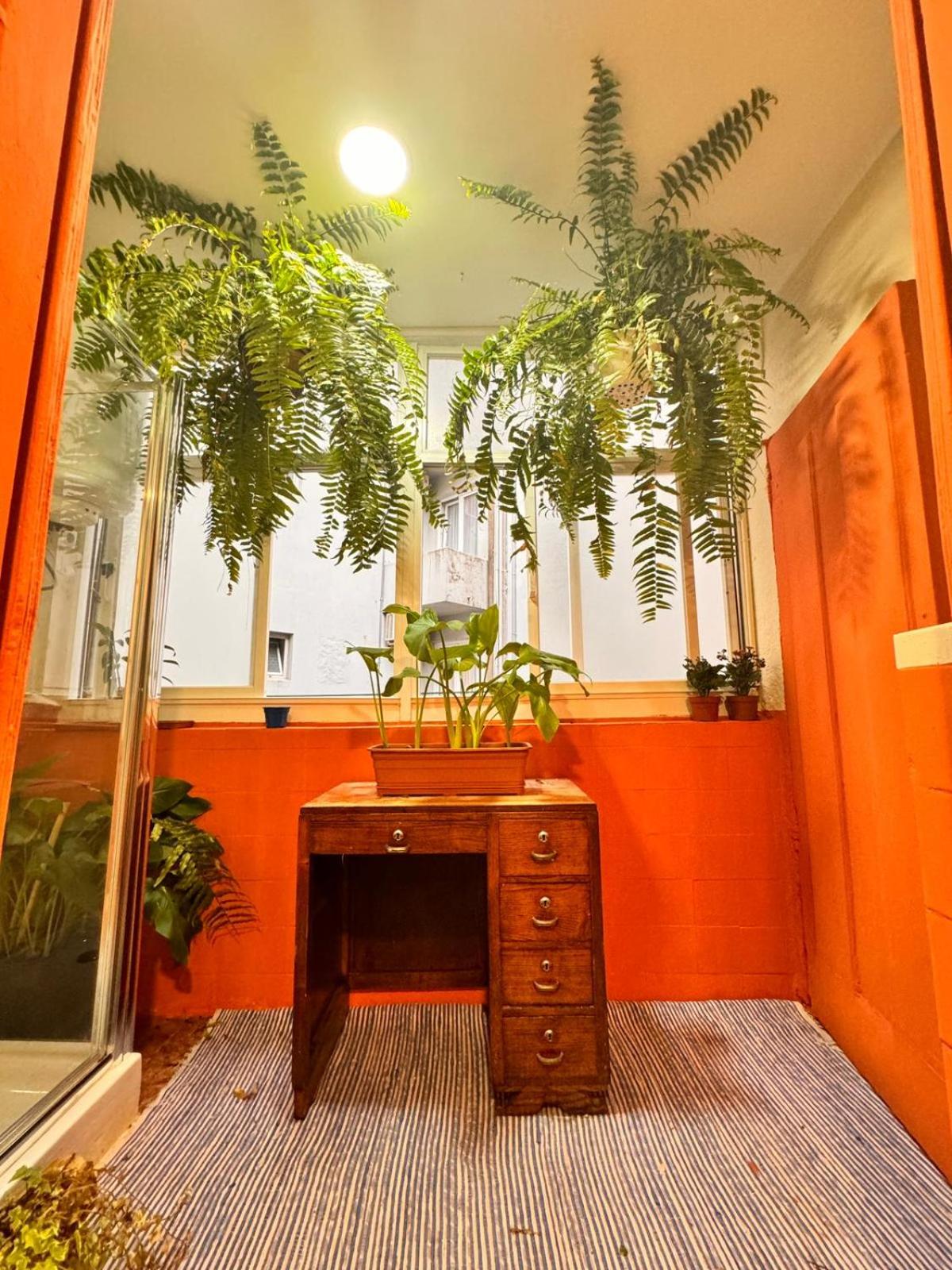 Samba Guesthouse