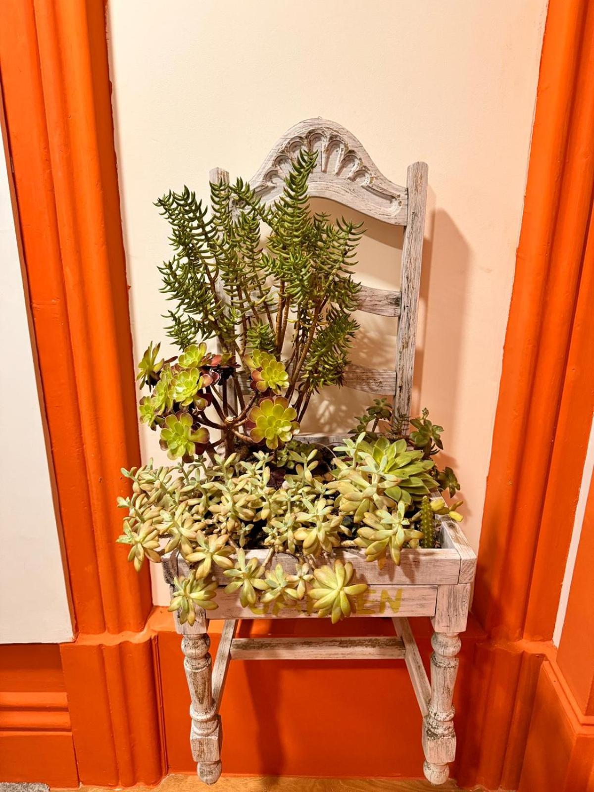 Samba Guesthouse