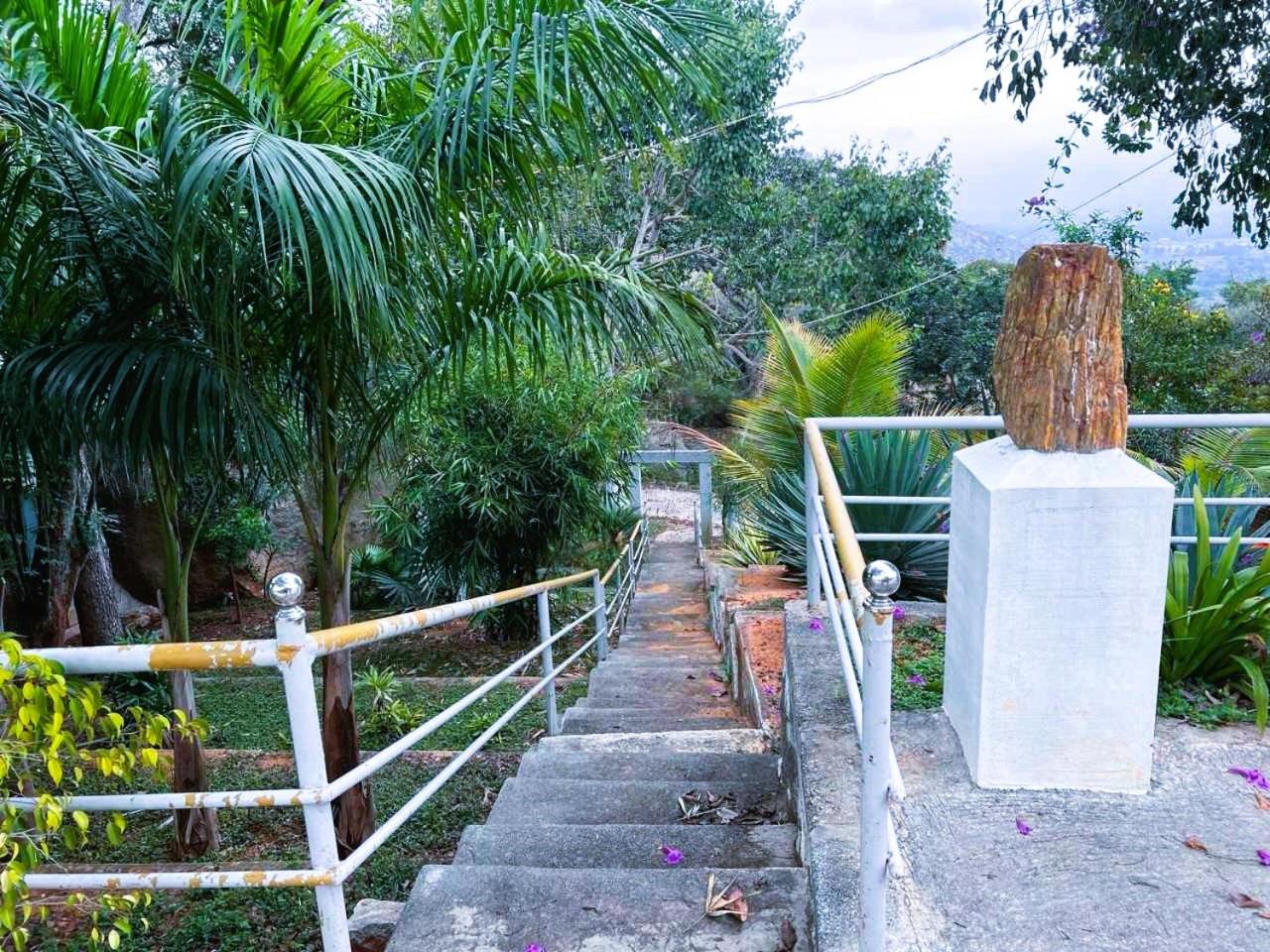 Photo 40