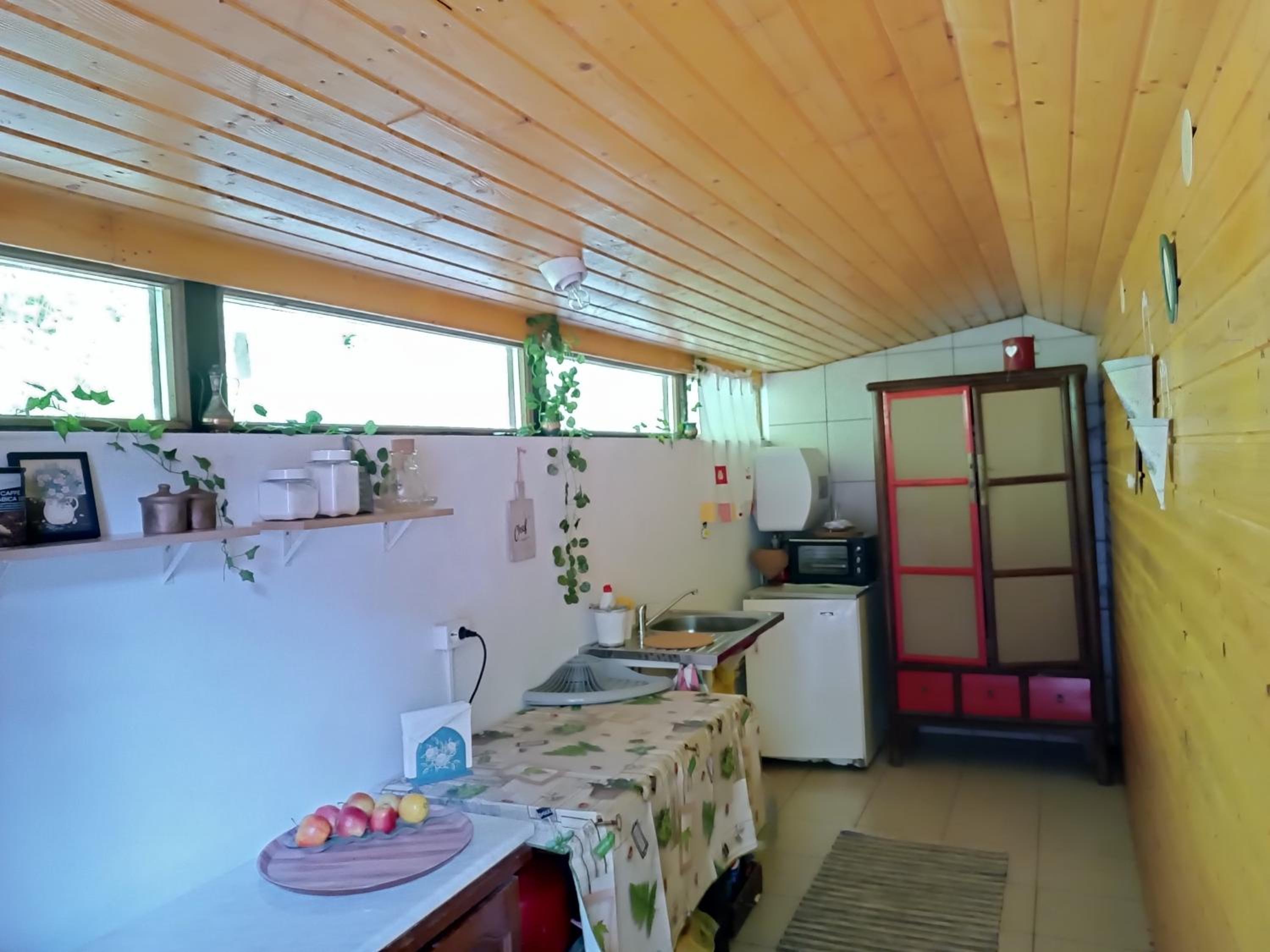 Cabana din padure view 2