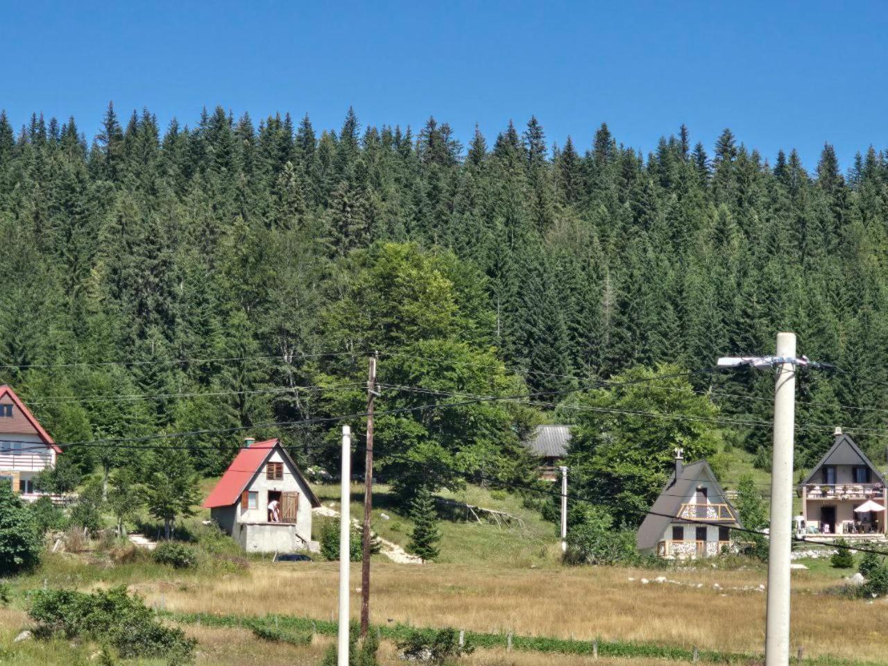 Enchanting chalet amidst impressive nature