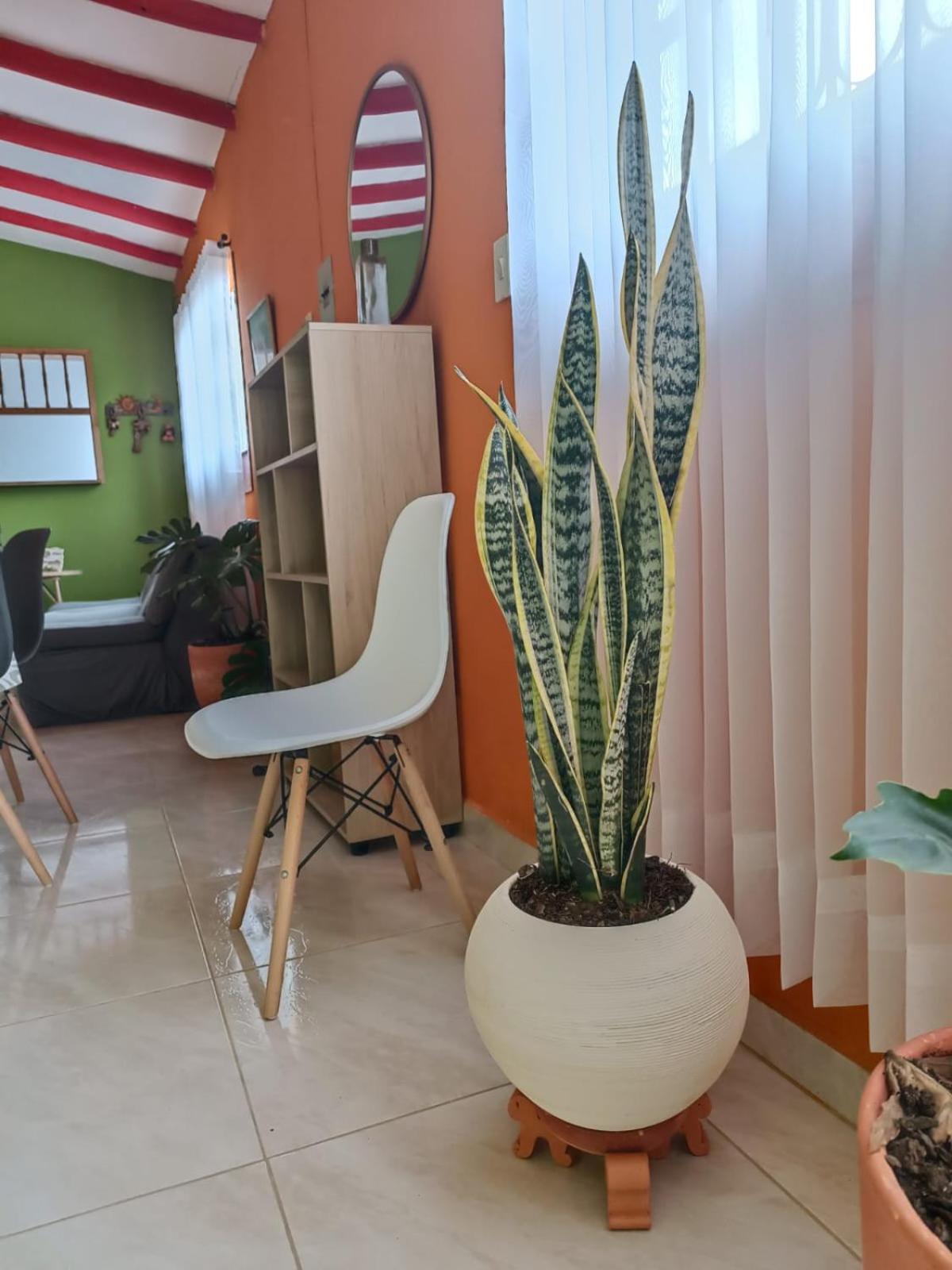 Casa Campestre Buenavista, espacio natural