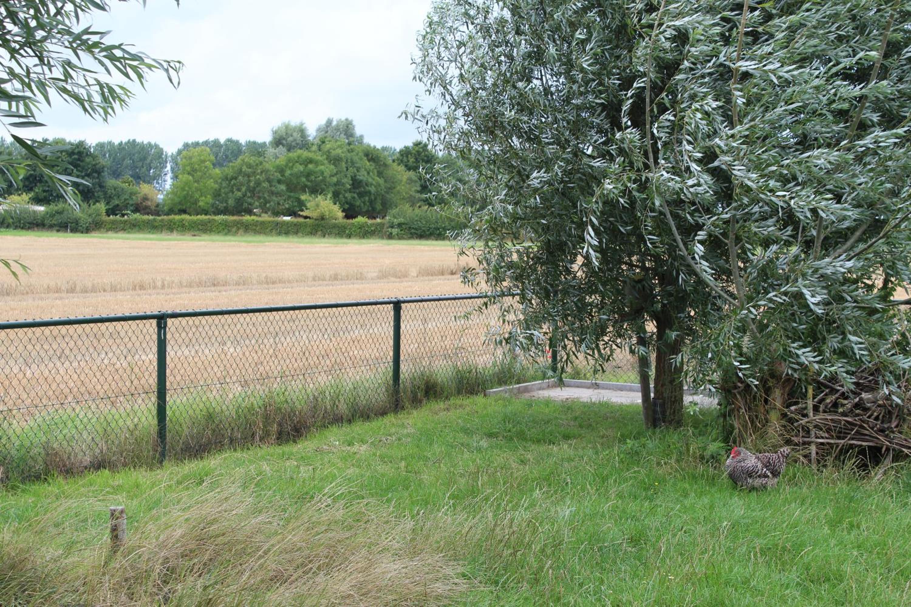 Photo 17