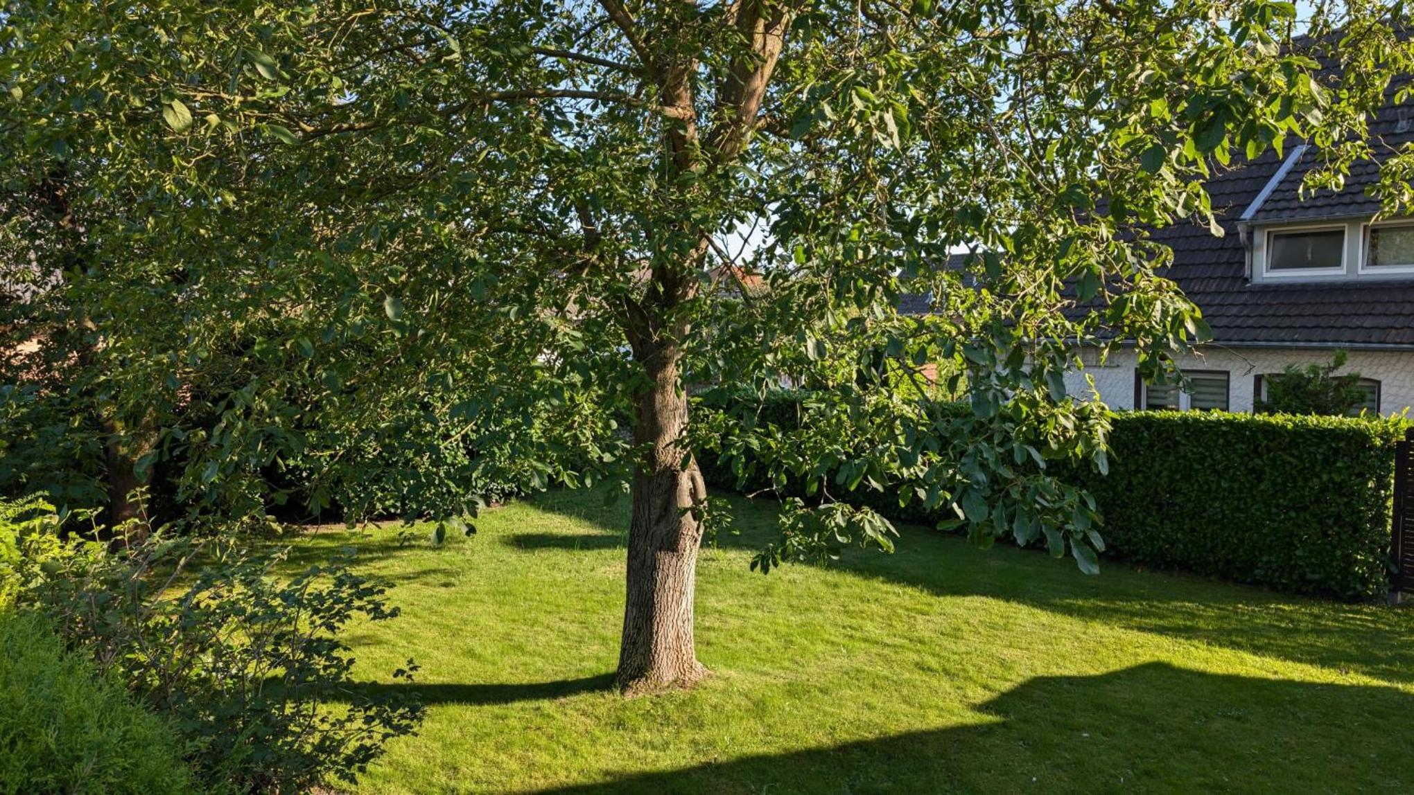 Kristall - große Maisonette Wohnung in Wegberg