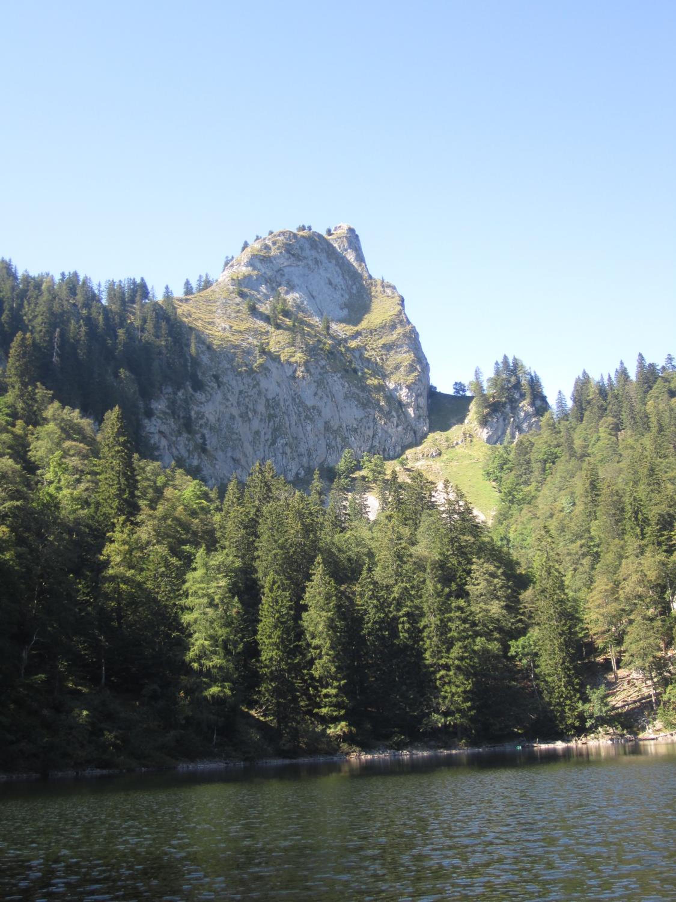 Paulbauer