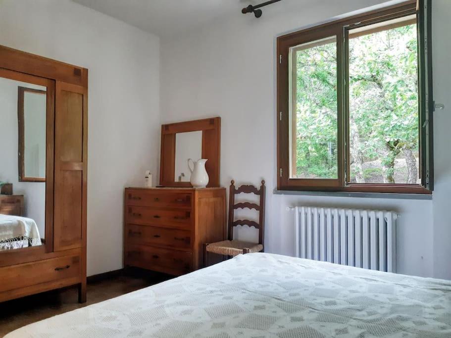Villa Silvana Angiari Arezzo view 5
