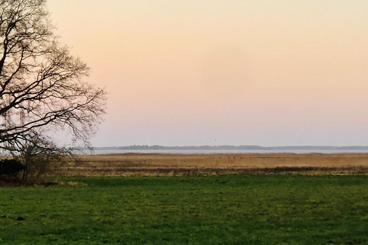 OstseeFreiheit