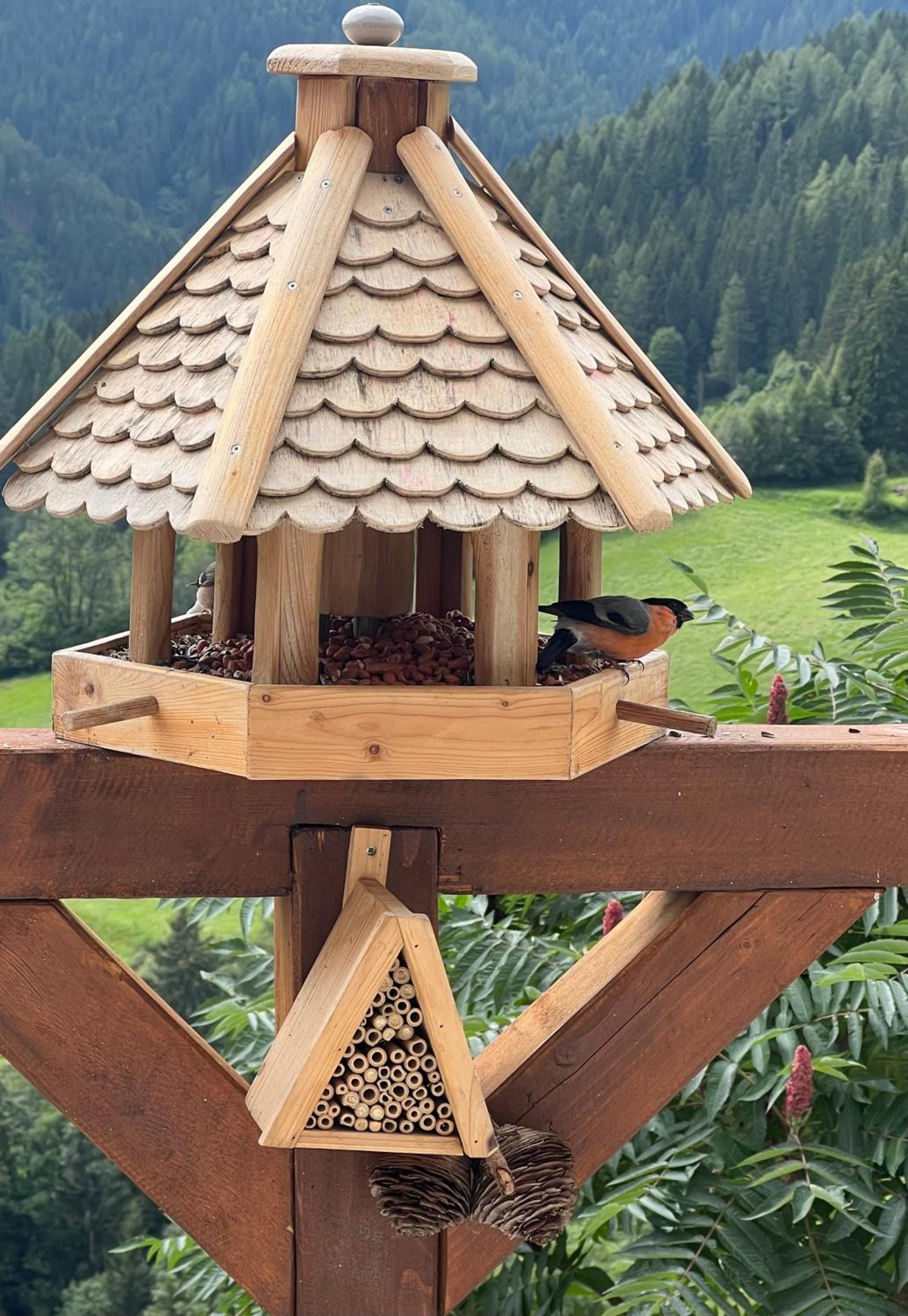 Pölstaler Berghütte
