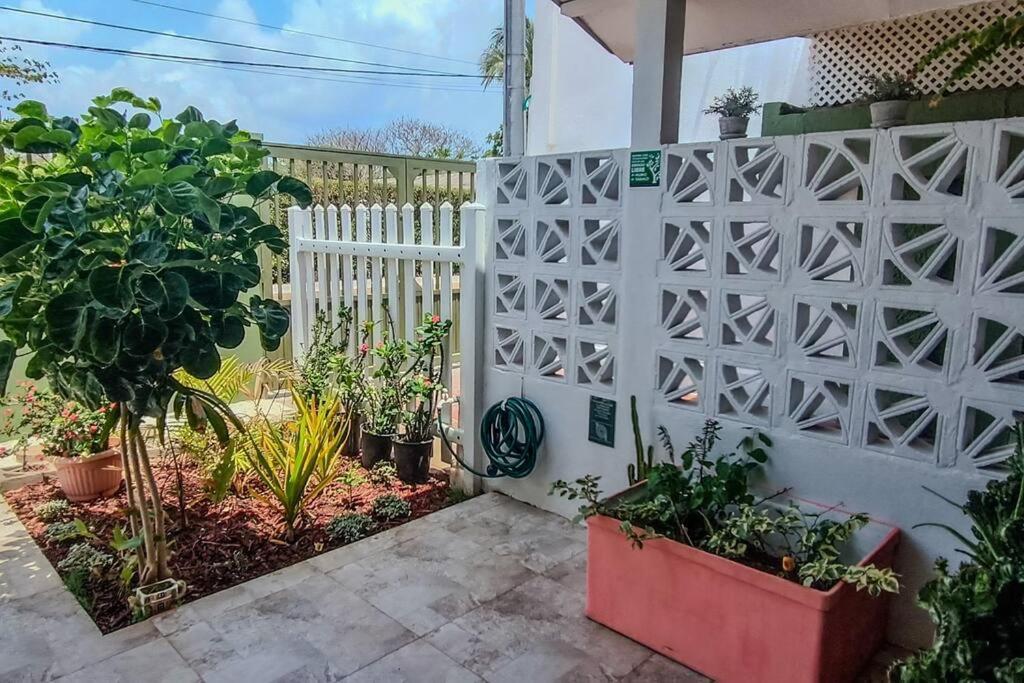 Casa Maha - Charm and Tranquility in San Andrés