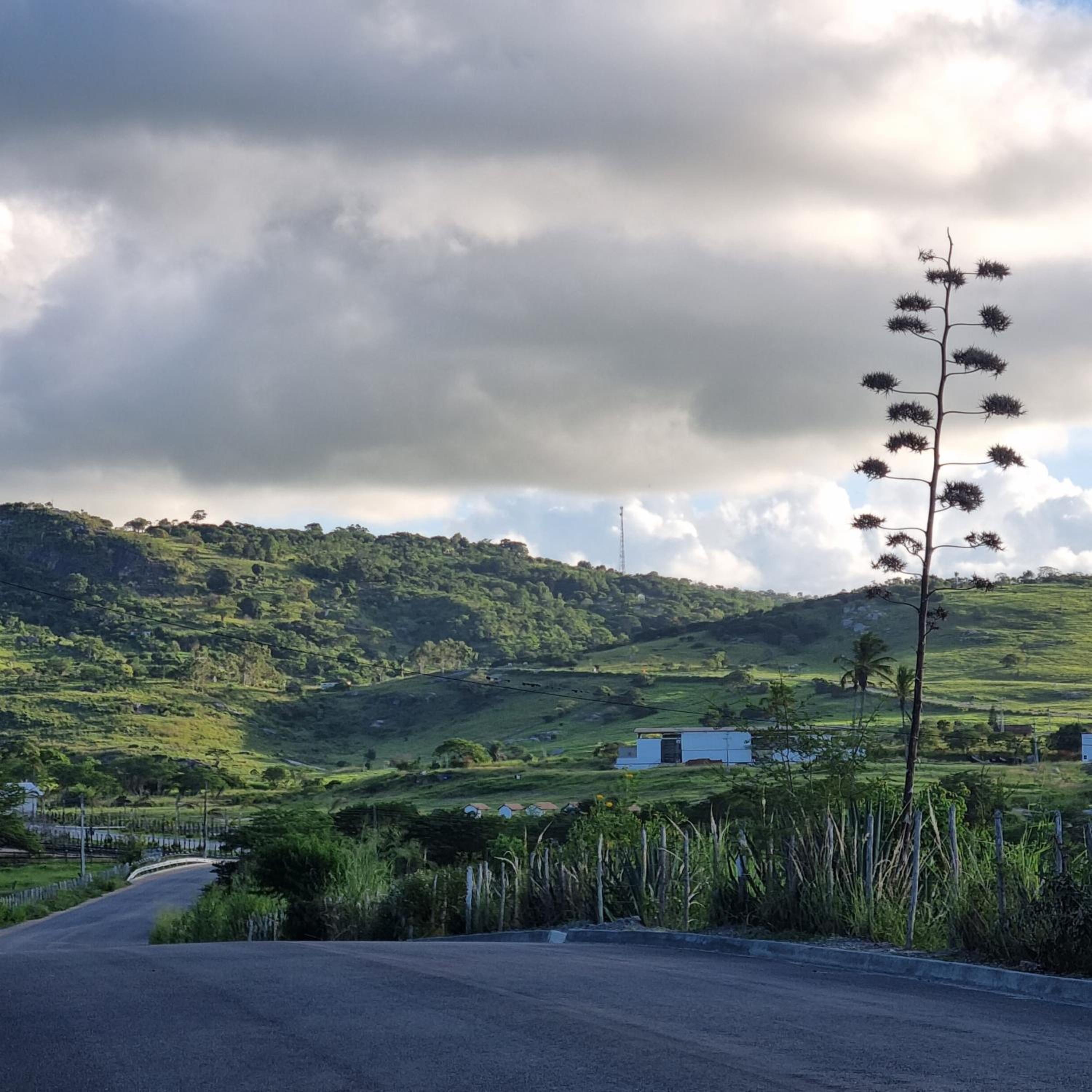 Chalé Raiz da Serra