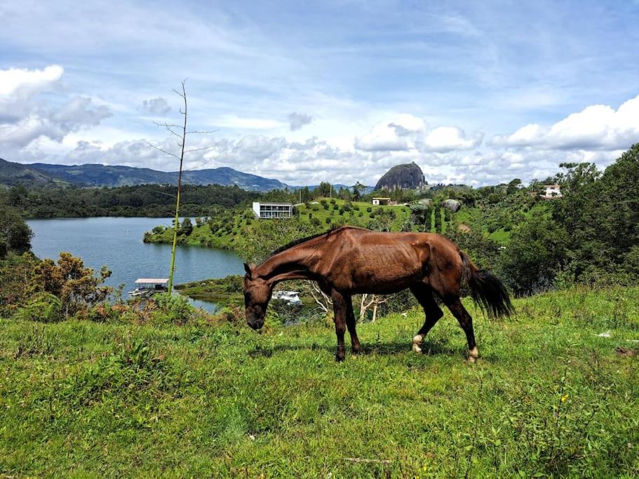 Brisa Del Lago - Guatape