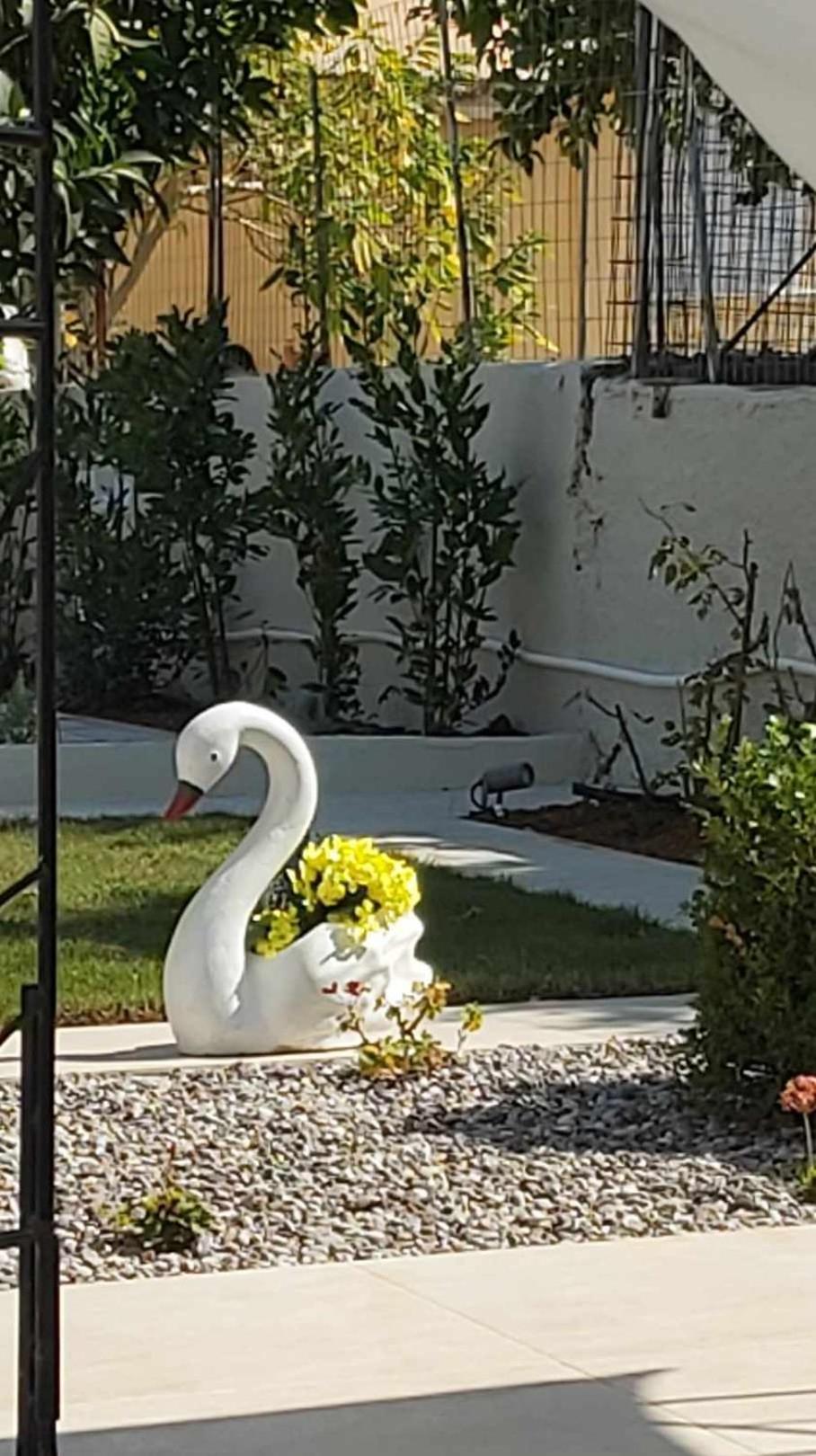 Fiore , 200m from central square