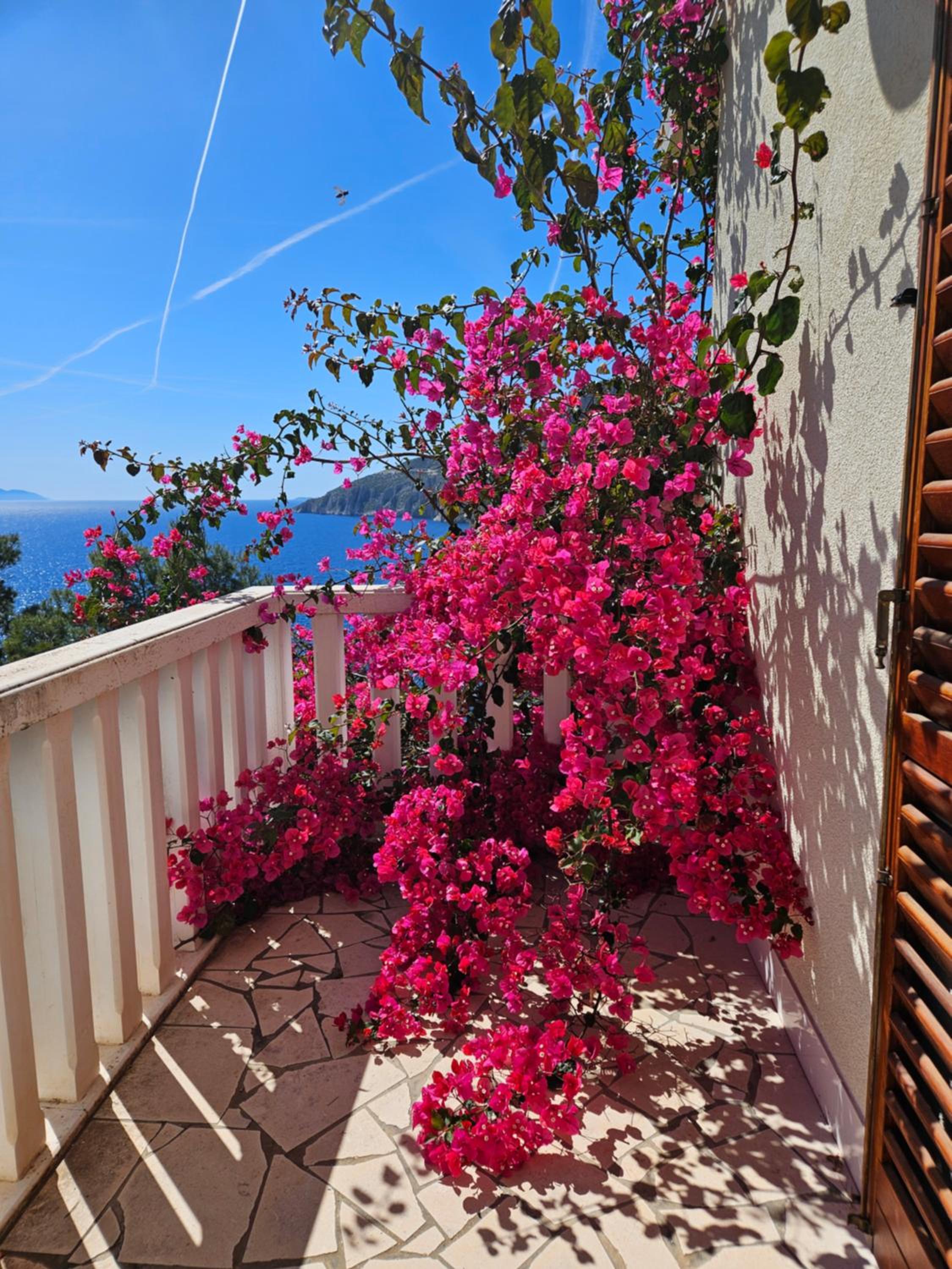 Villa Jagoda