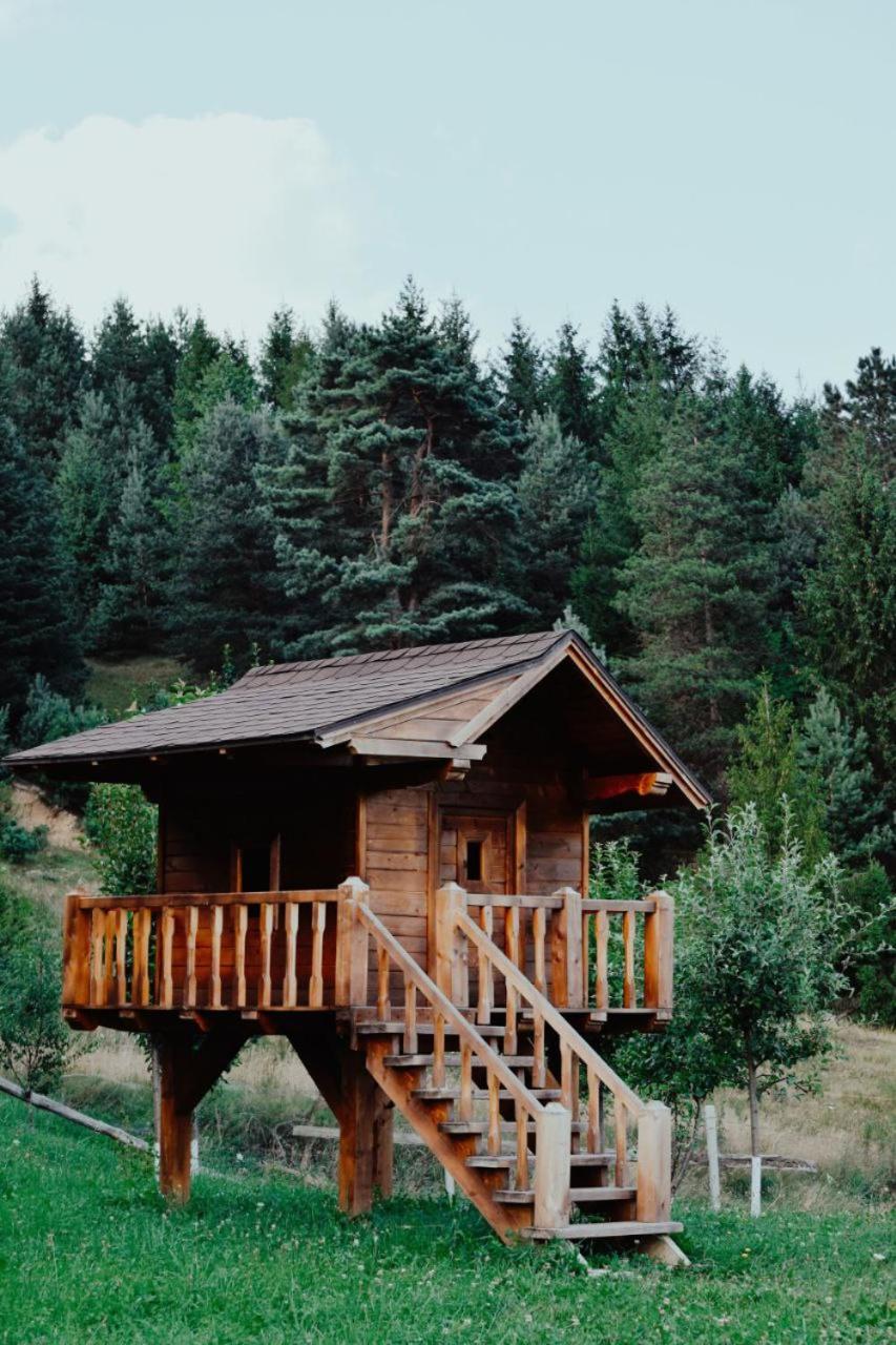 Cabana Ursilor