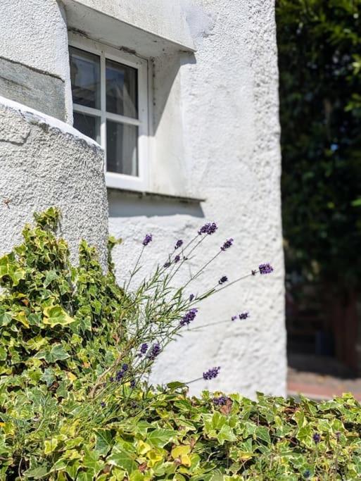 Charming Cornwall Cottage