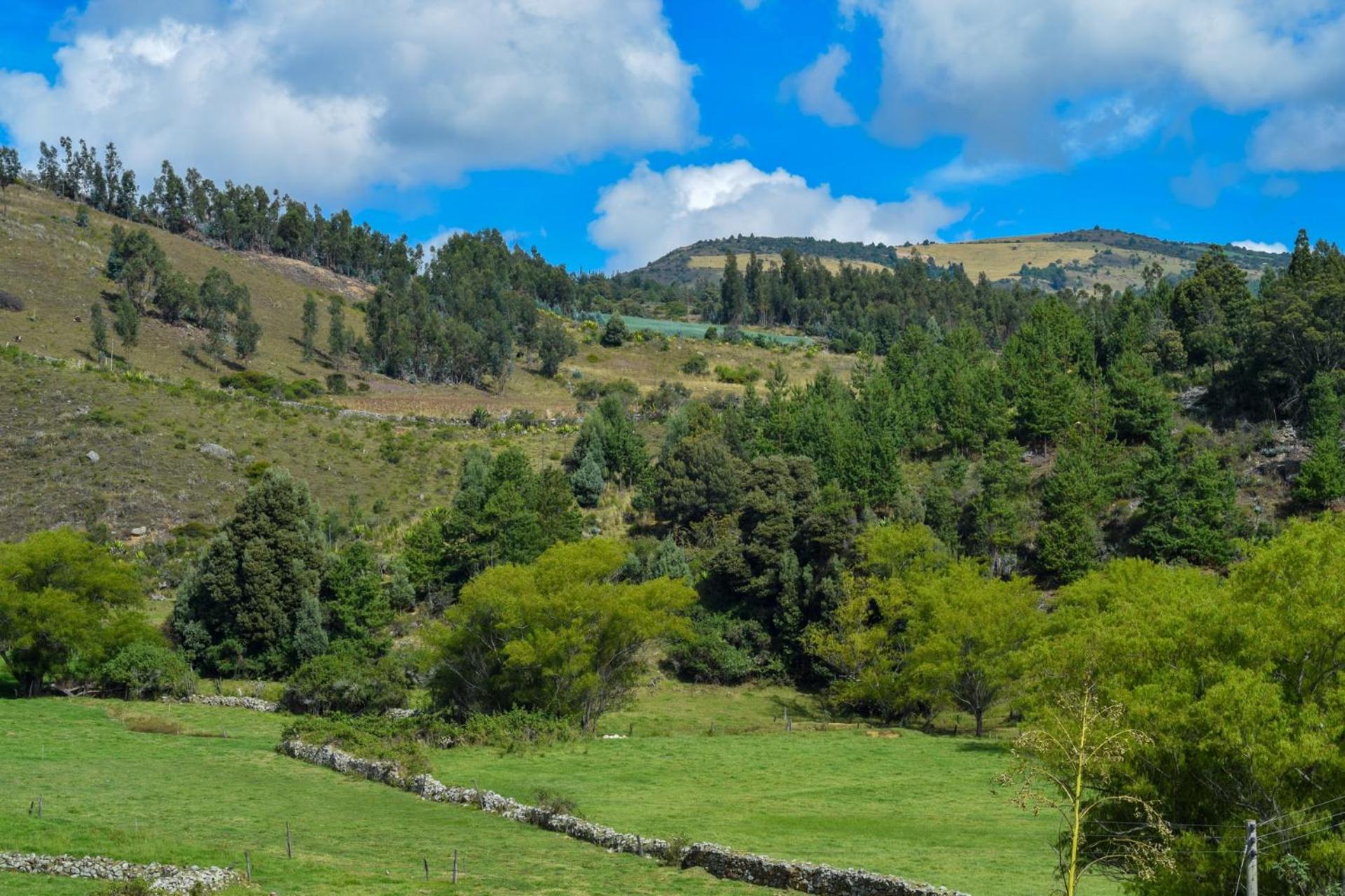 Casa Campestre SUANOGA