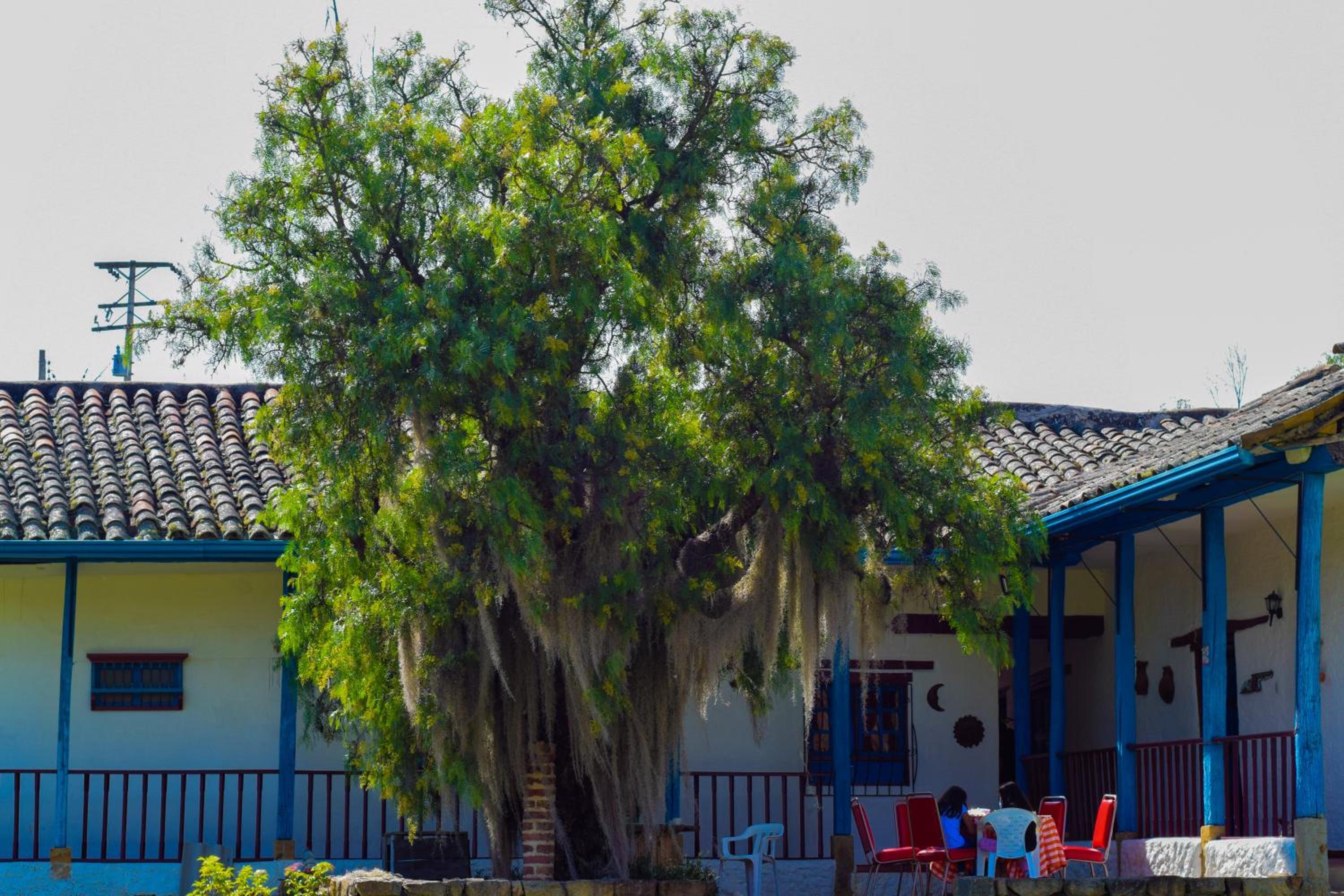 Casa Campestre SUANOGA