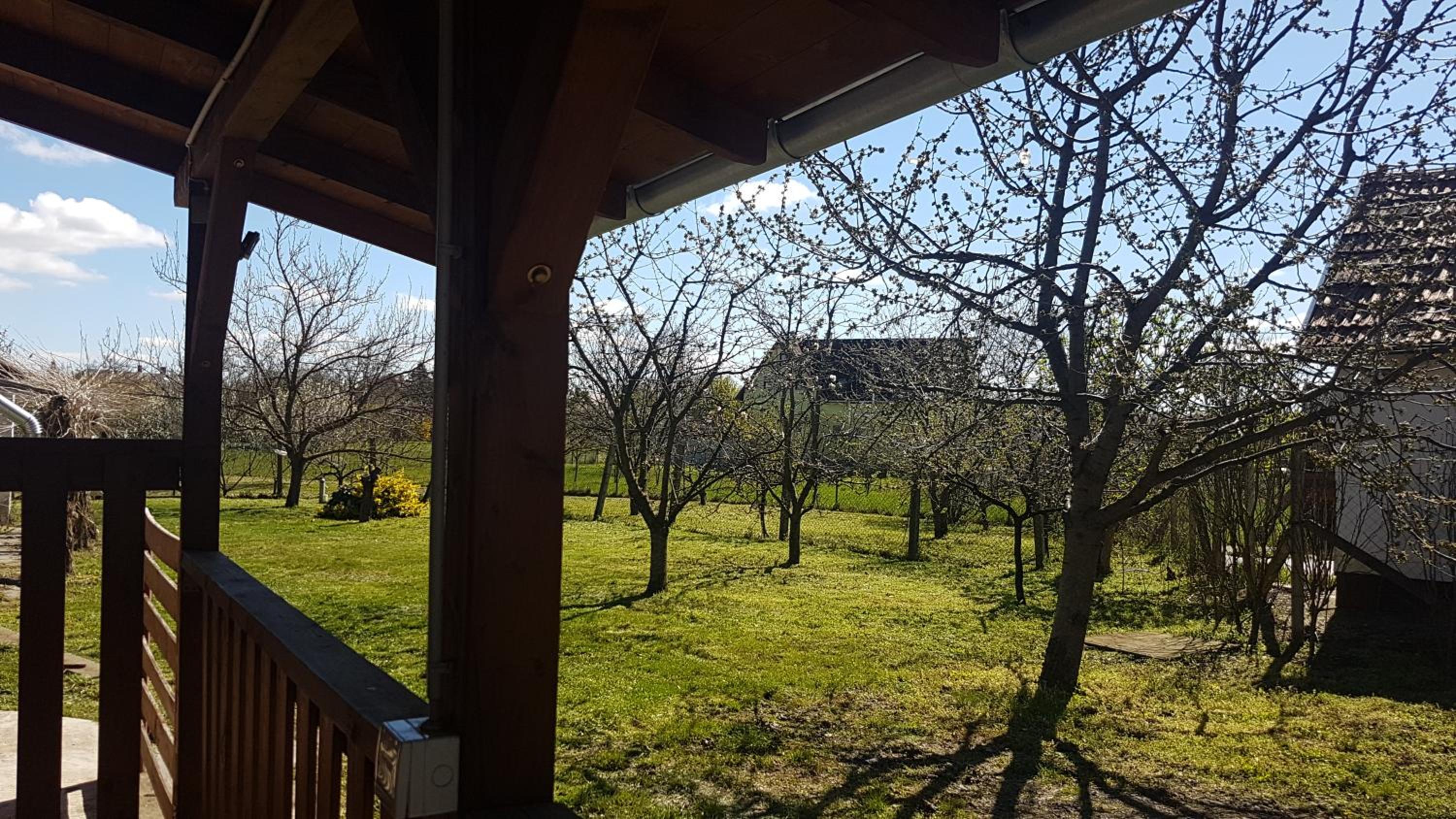 Gyümölcsös Vendégház, Poroszló, Tisza-tó - Fruit Orchard Guest House, Poroszló, Lake Tisza view 3