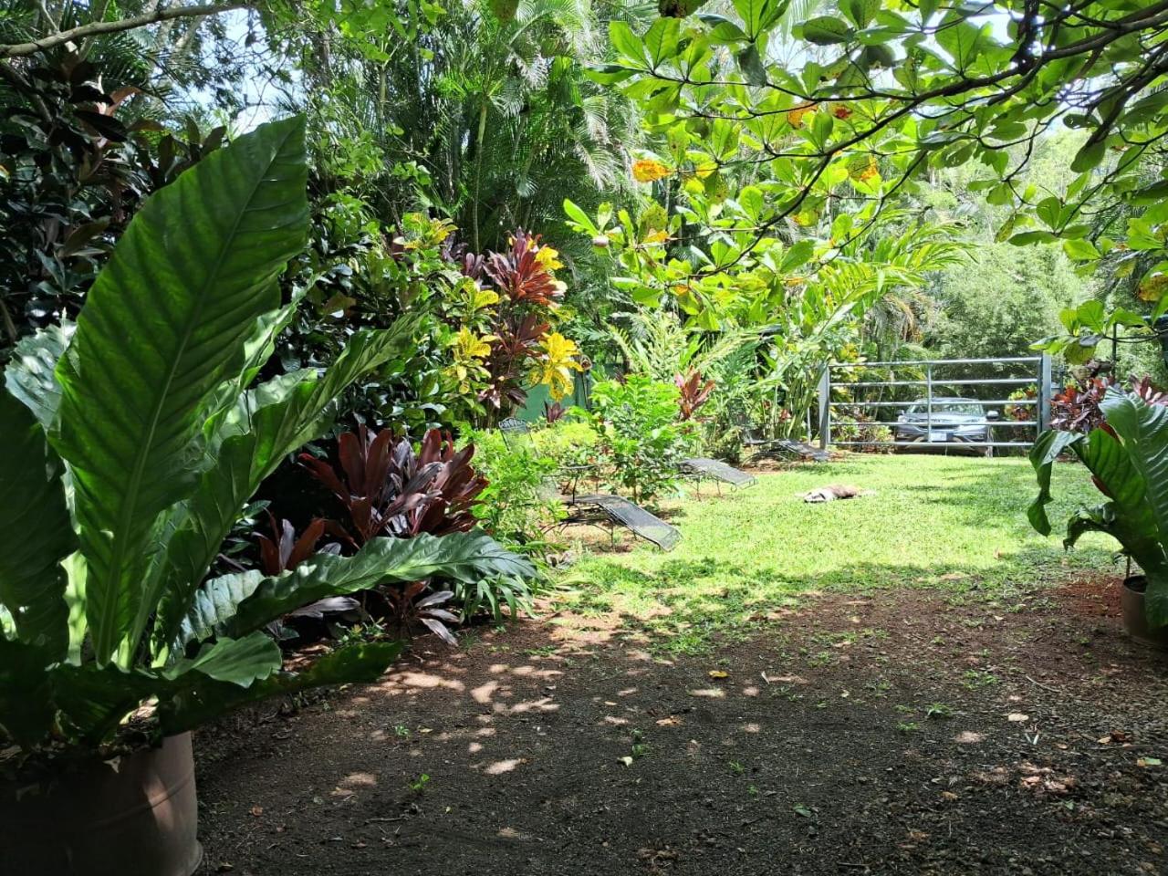 Hermosa Quinta en la Montaña - Quinta Beatriz