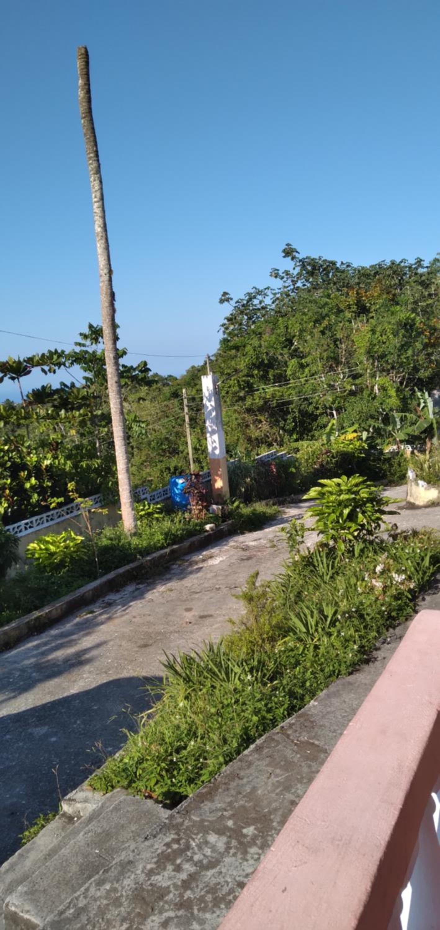 Countryside breezy lodging view 2