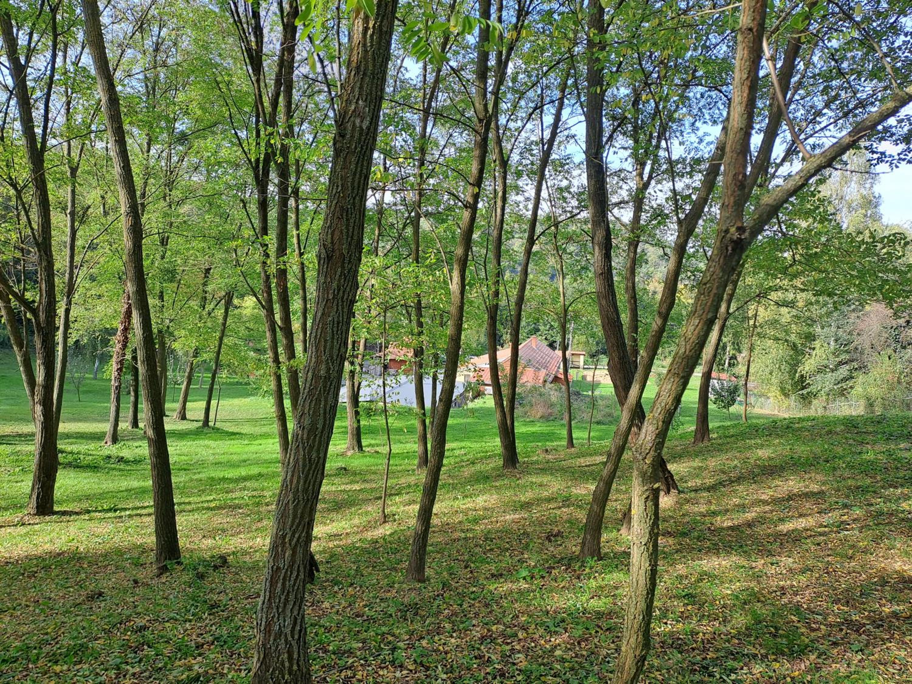 Rózsakert Apartman