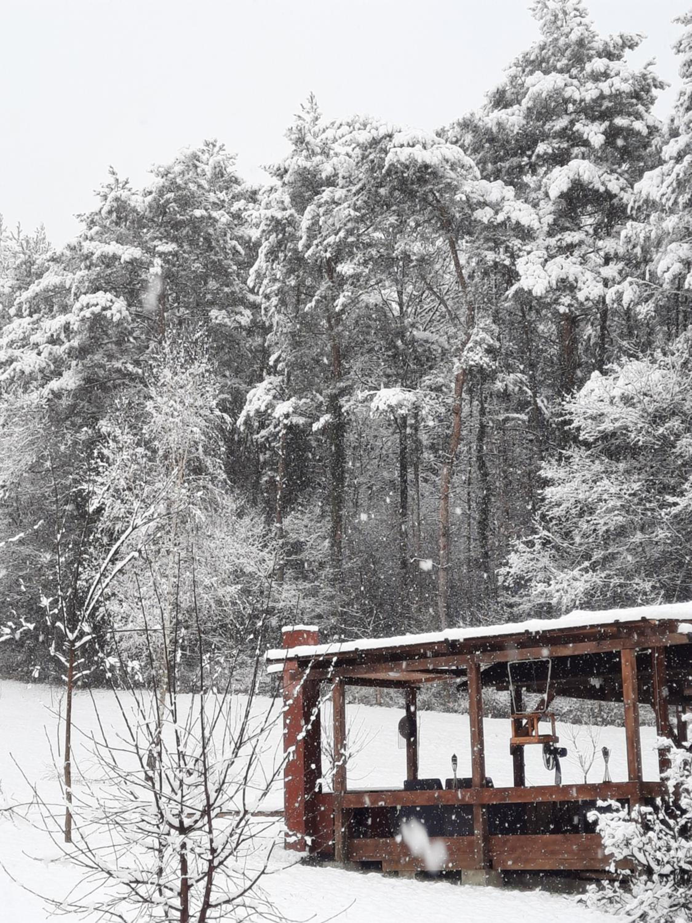 Rózsakert Apartman