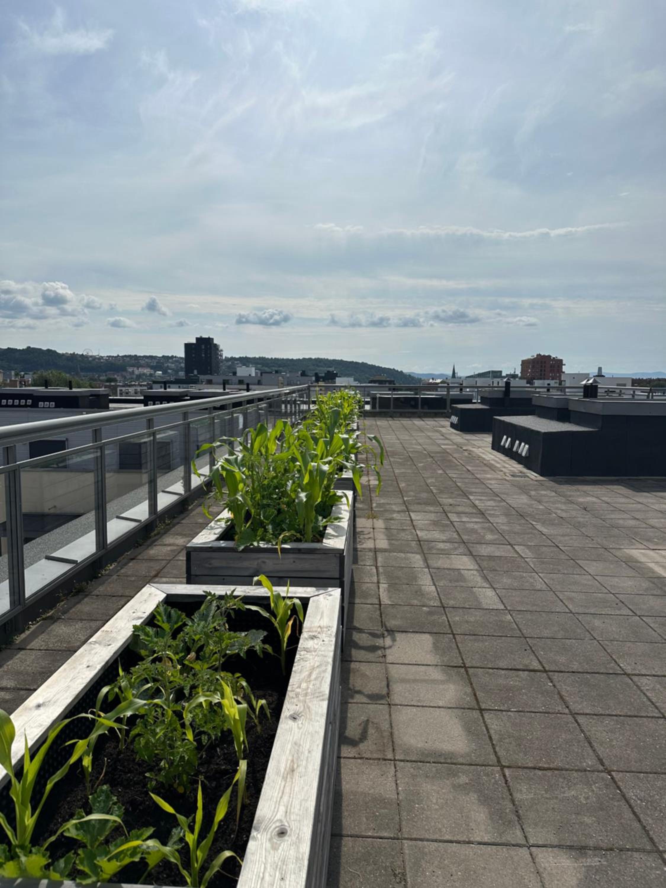 roof