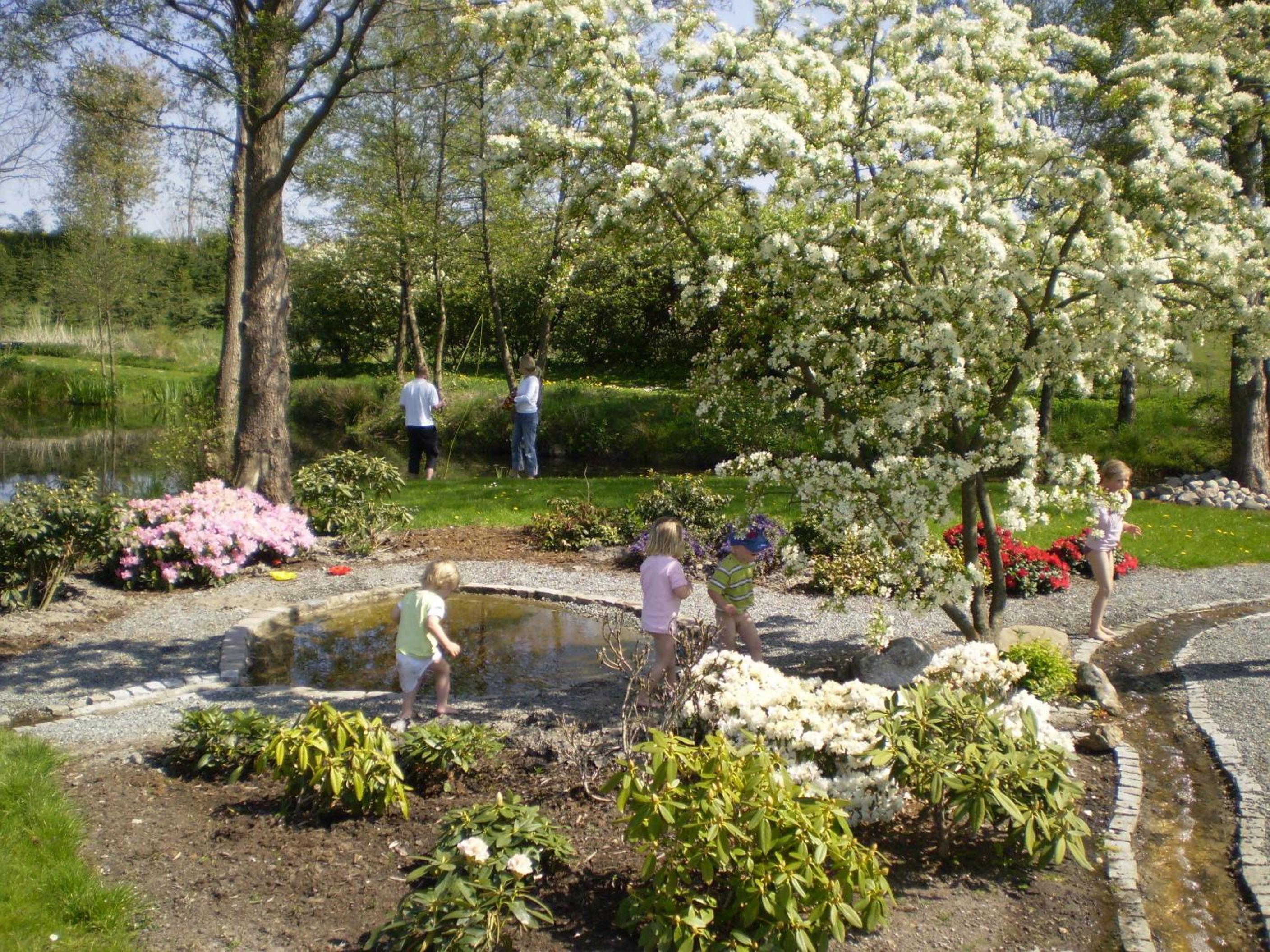 Photo 8