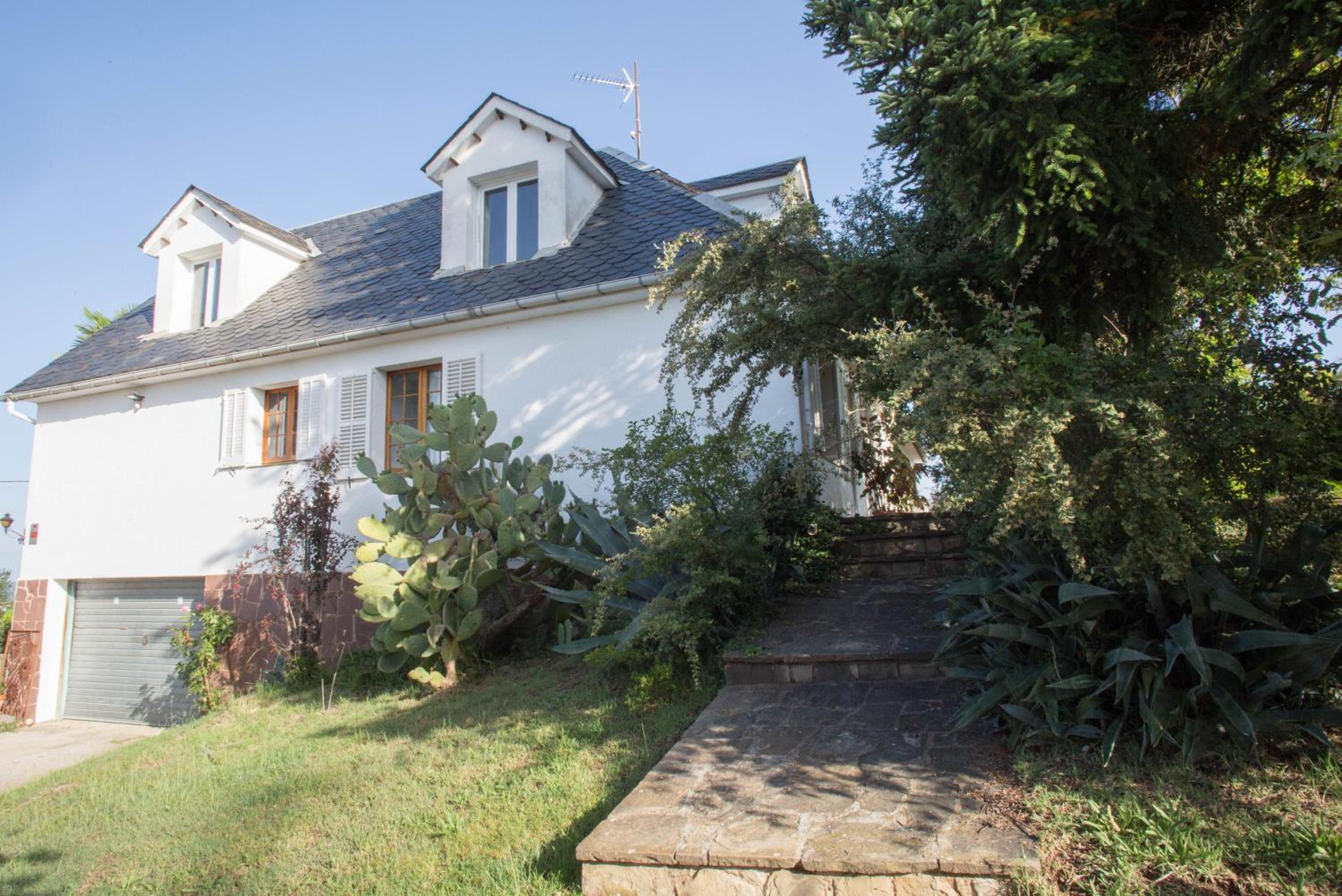Attic dels Sentits