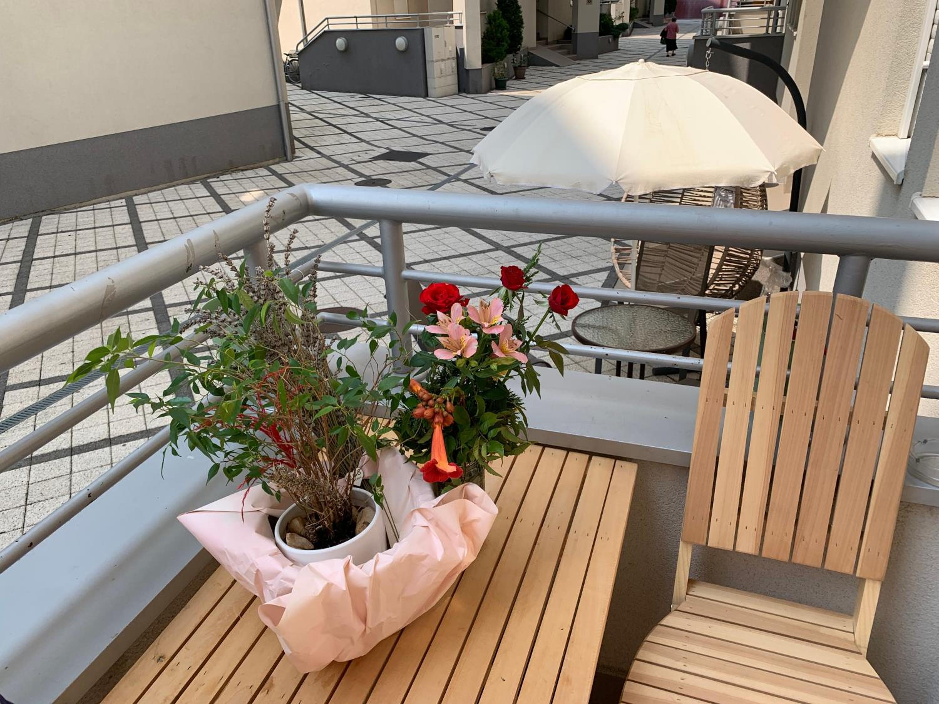 Petra Apartments