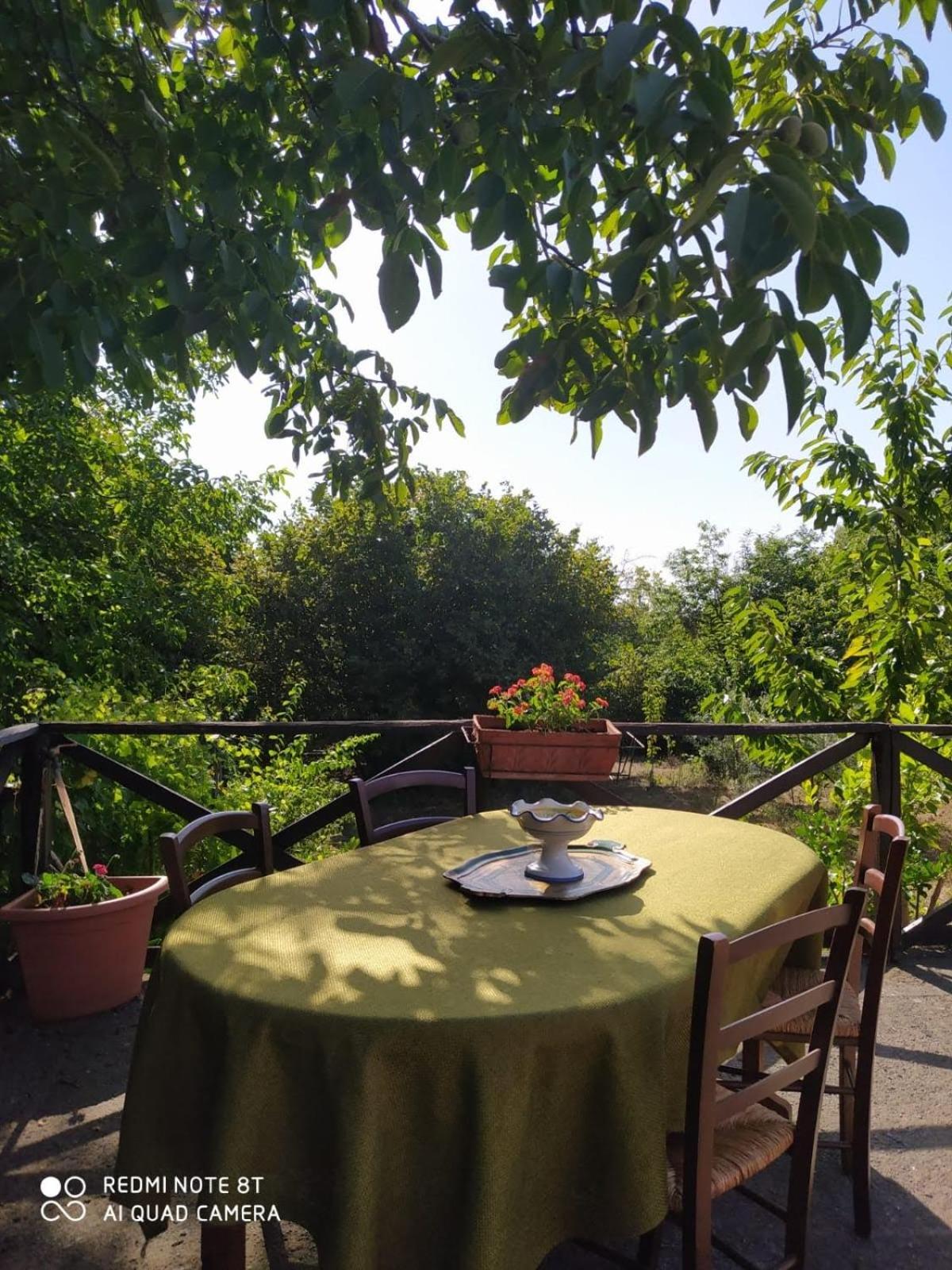 La Rosa antica dell'Etna view 2