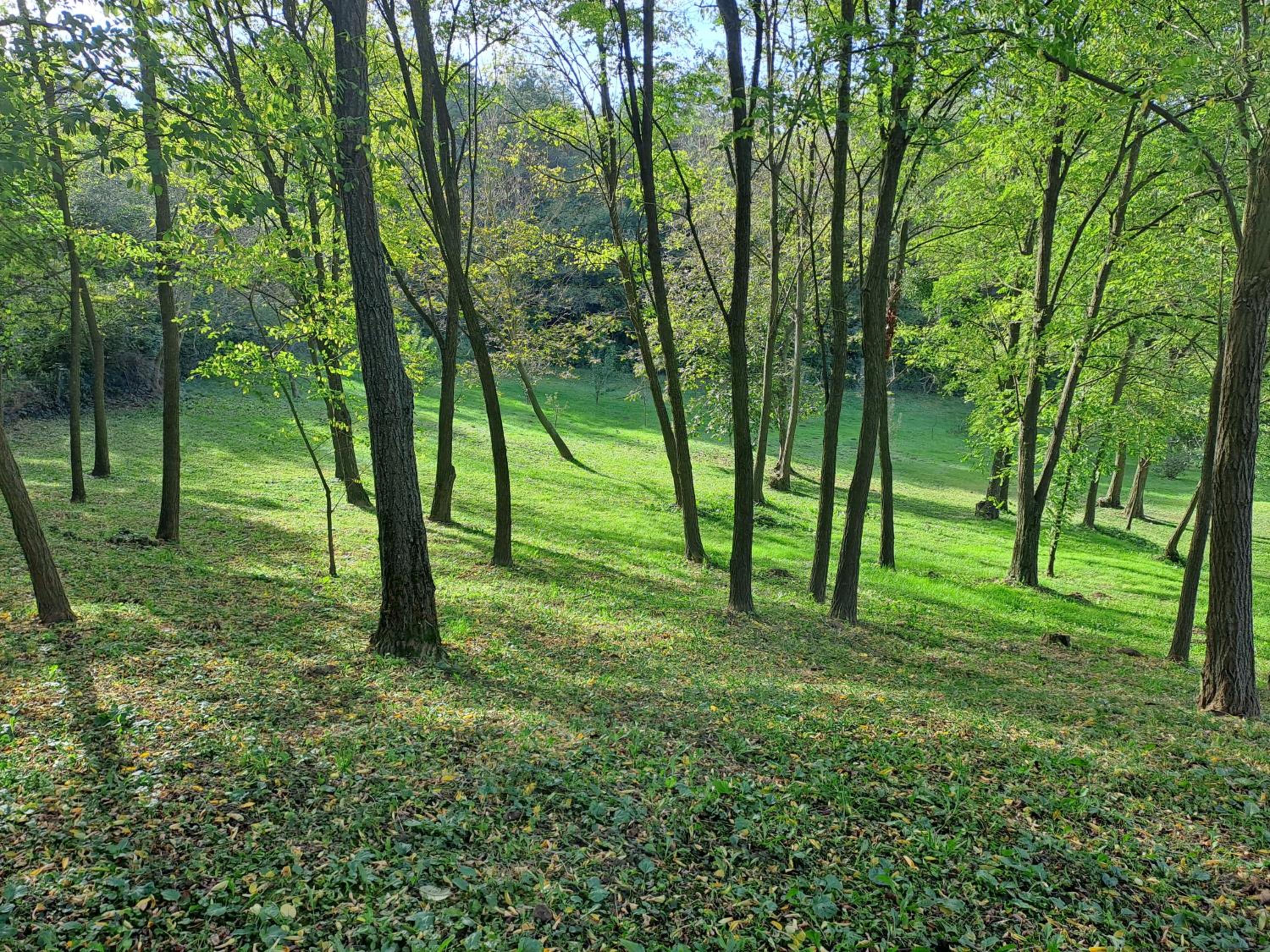Rózsakert Apartman