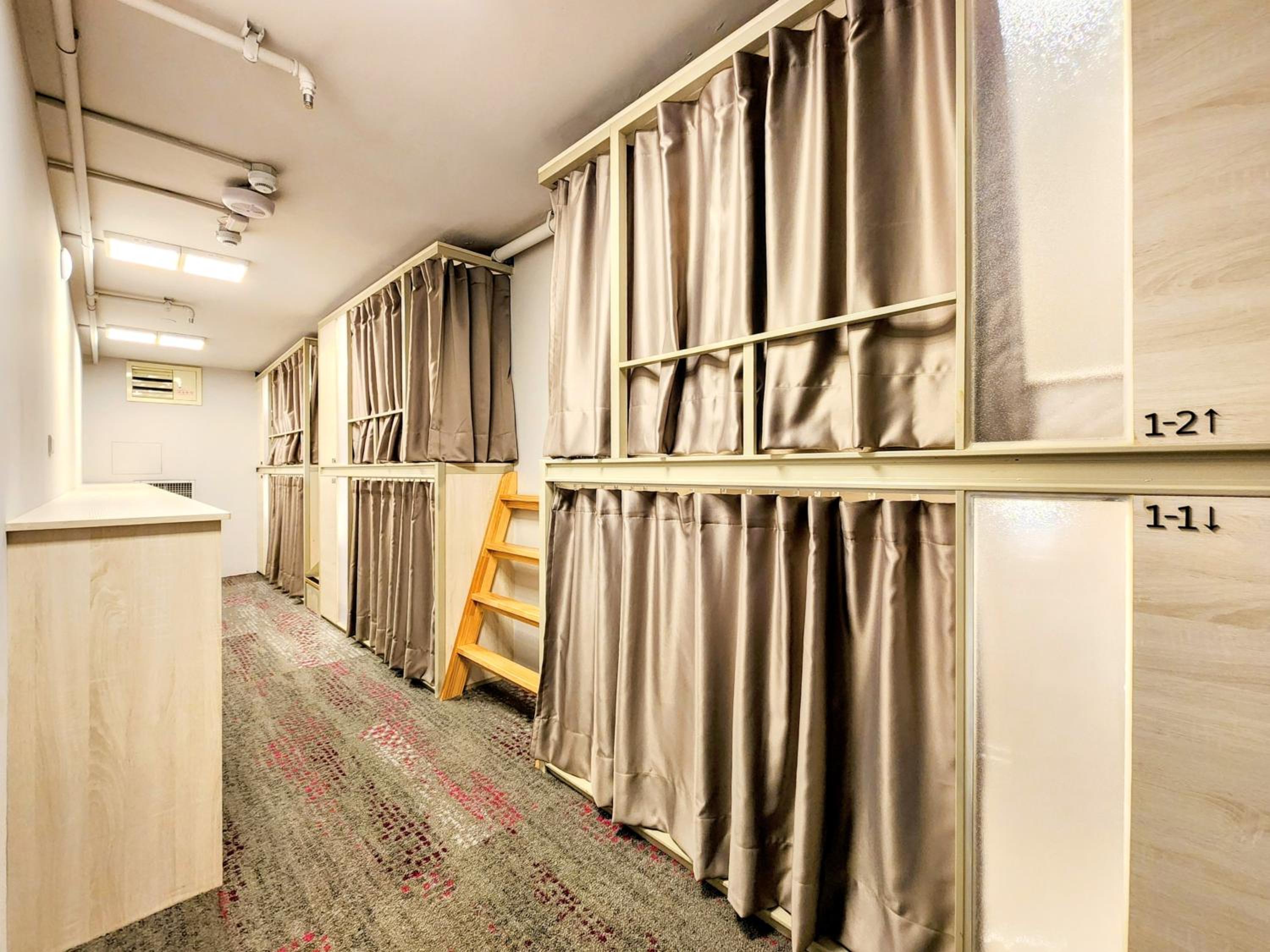 Just Live Hostel