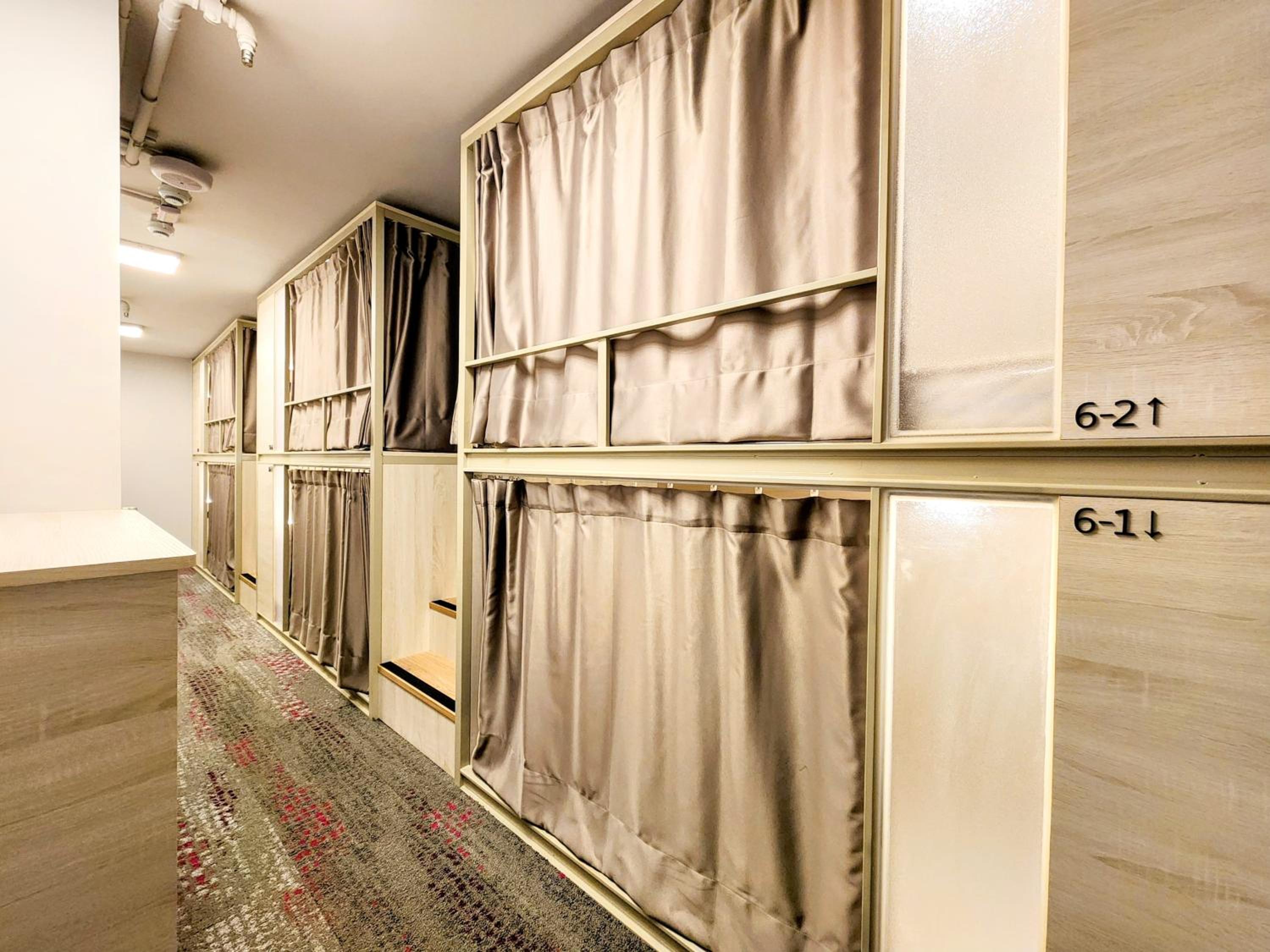 Just Live Hostel