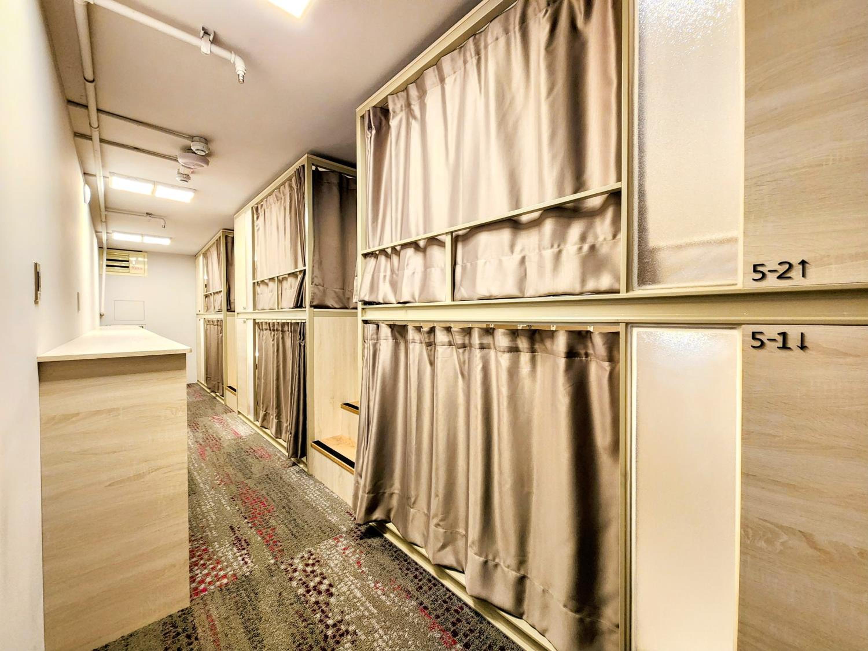 Just Live Hostel