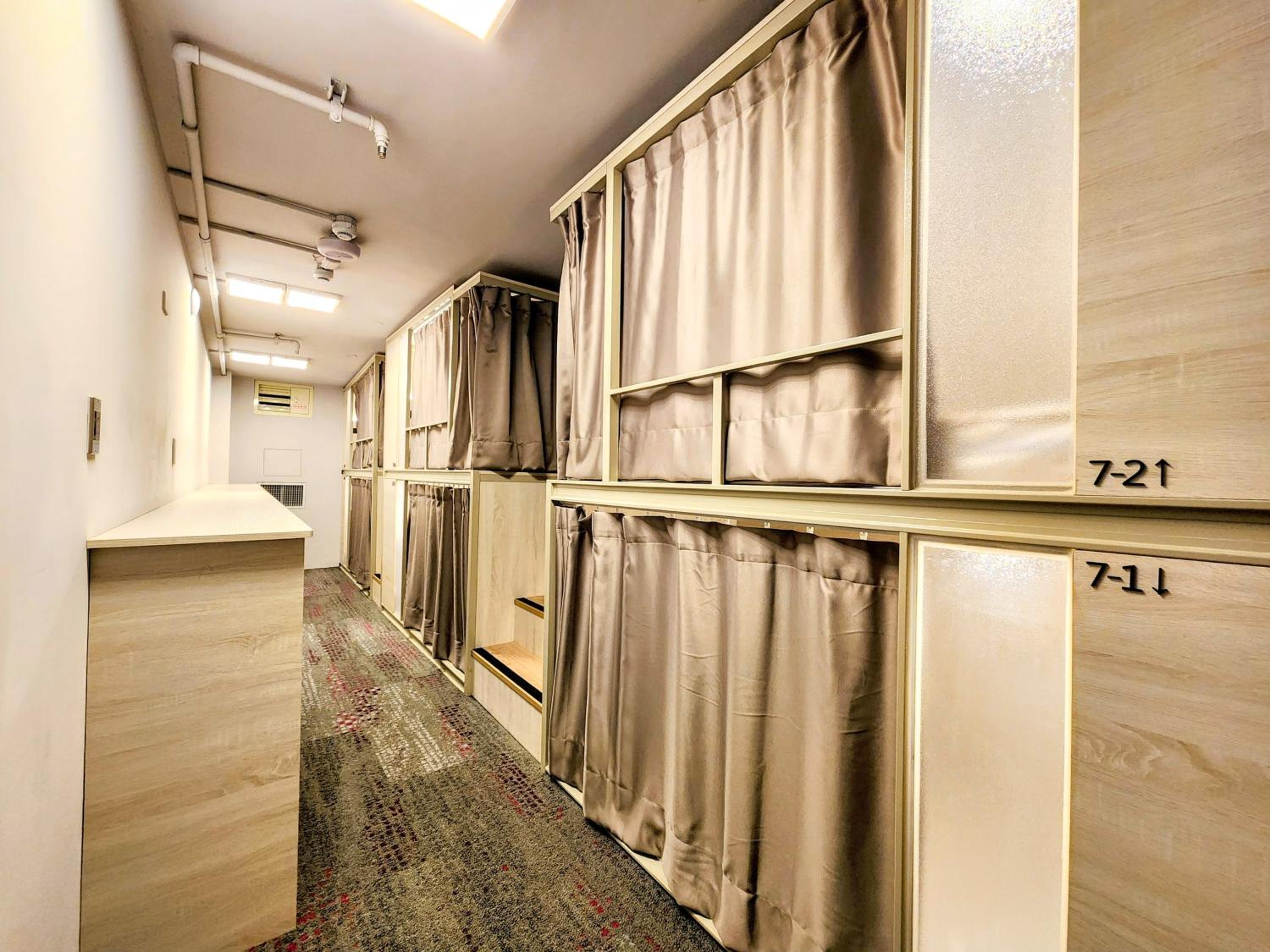 Just Live Hostel