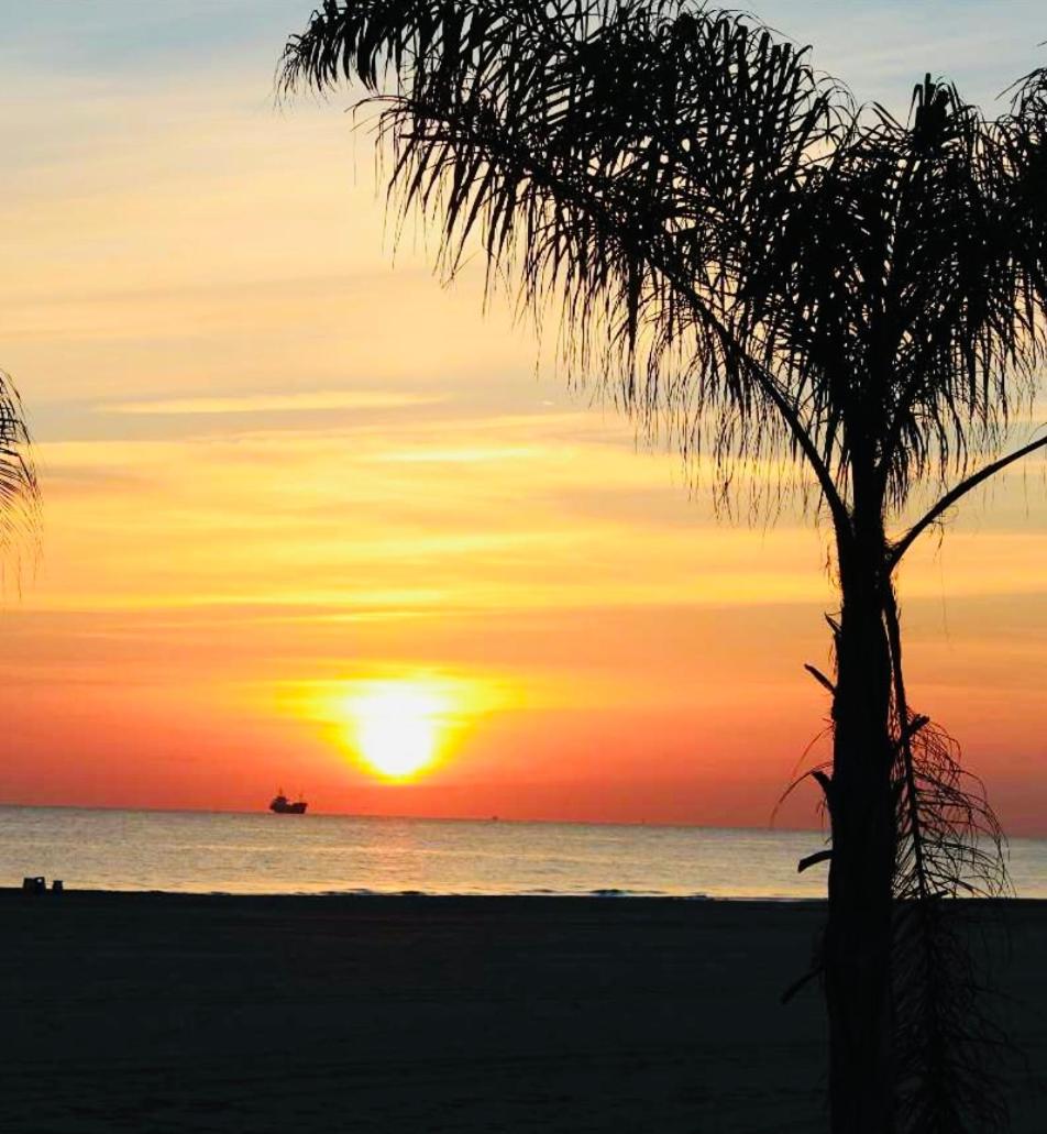 Marina Gaviota Beach