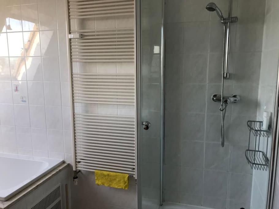 Dachgeschoßwohnung mit Dachterrasse