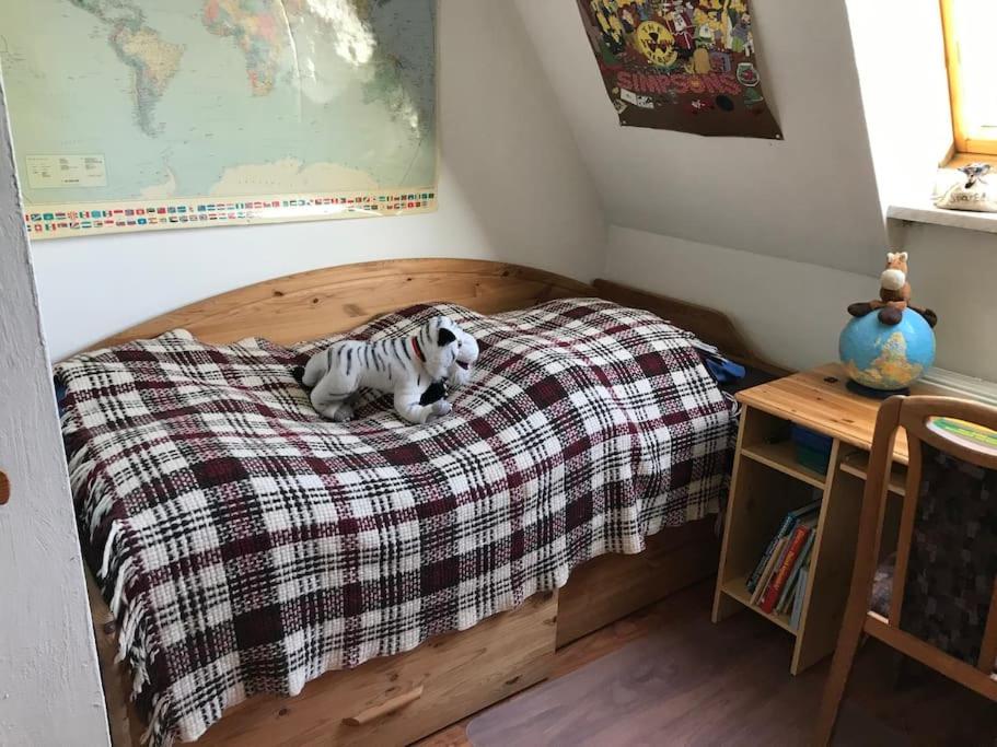 Dachgeschoßwohnung mit Dachterrasse