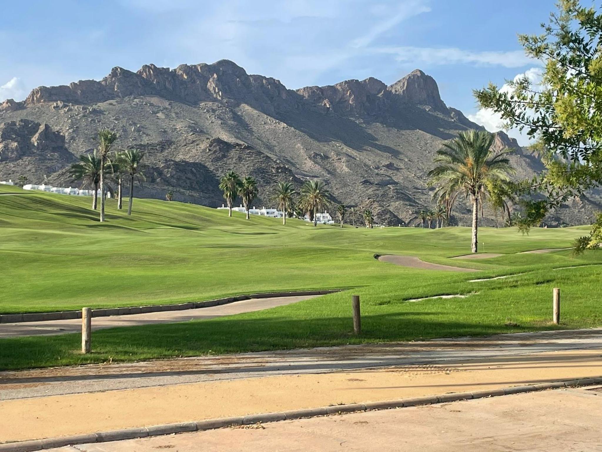 Tamarillas Golf