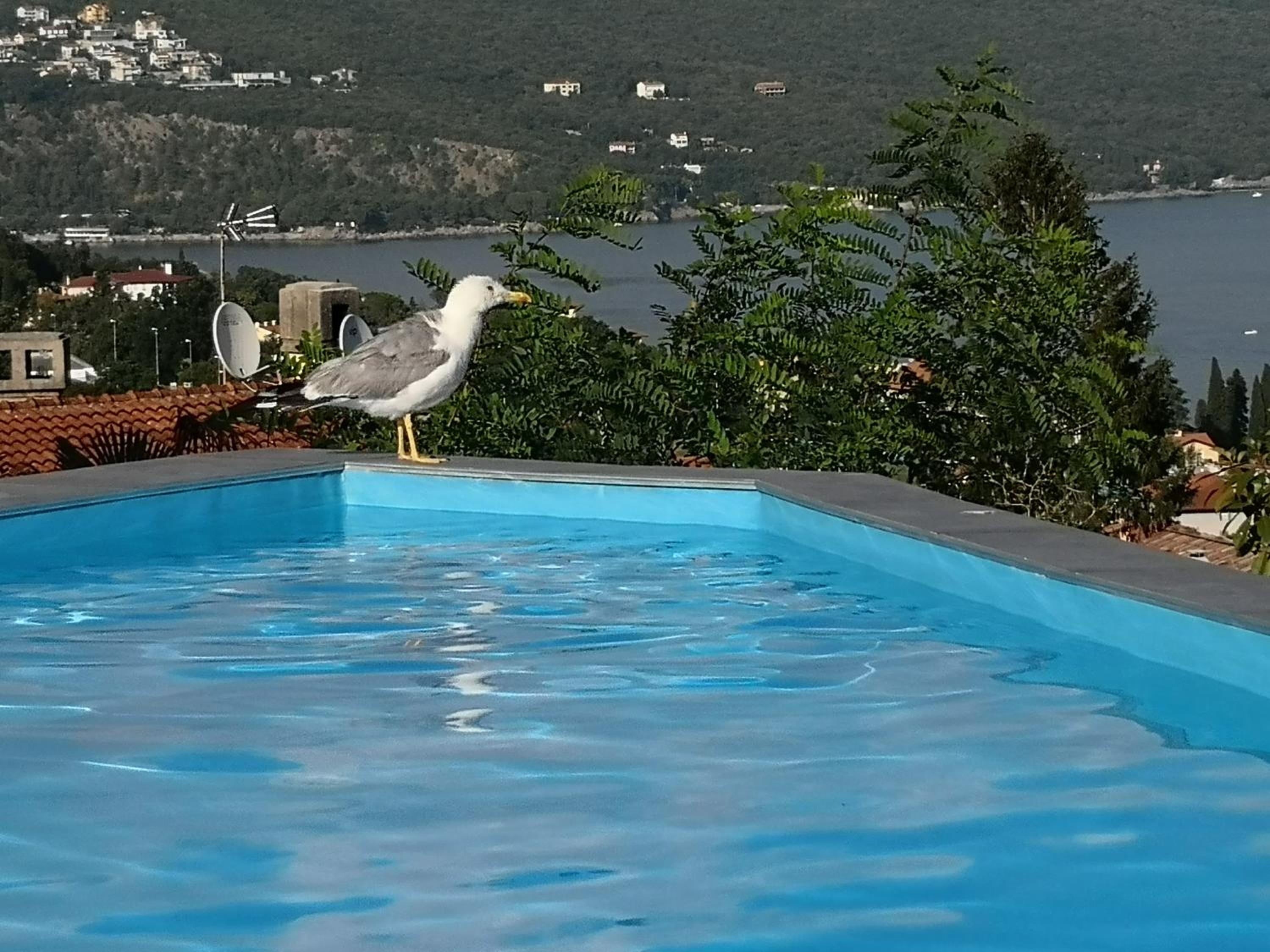 4K Apartman Opatija