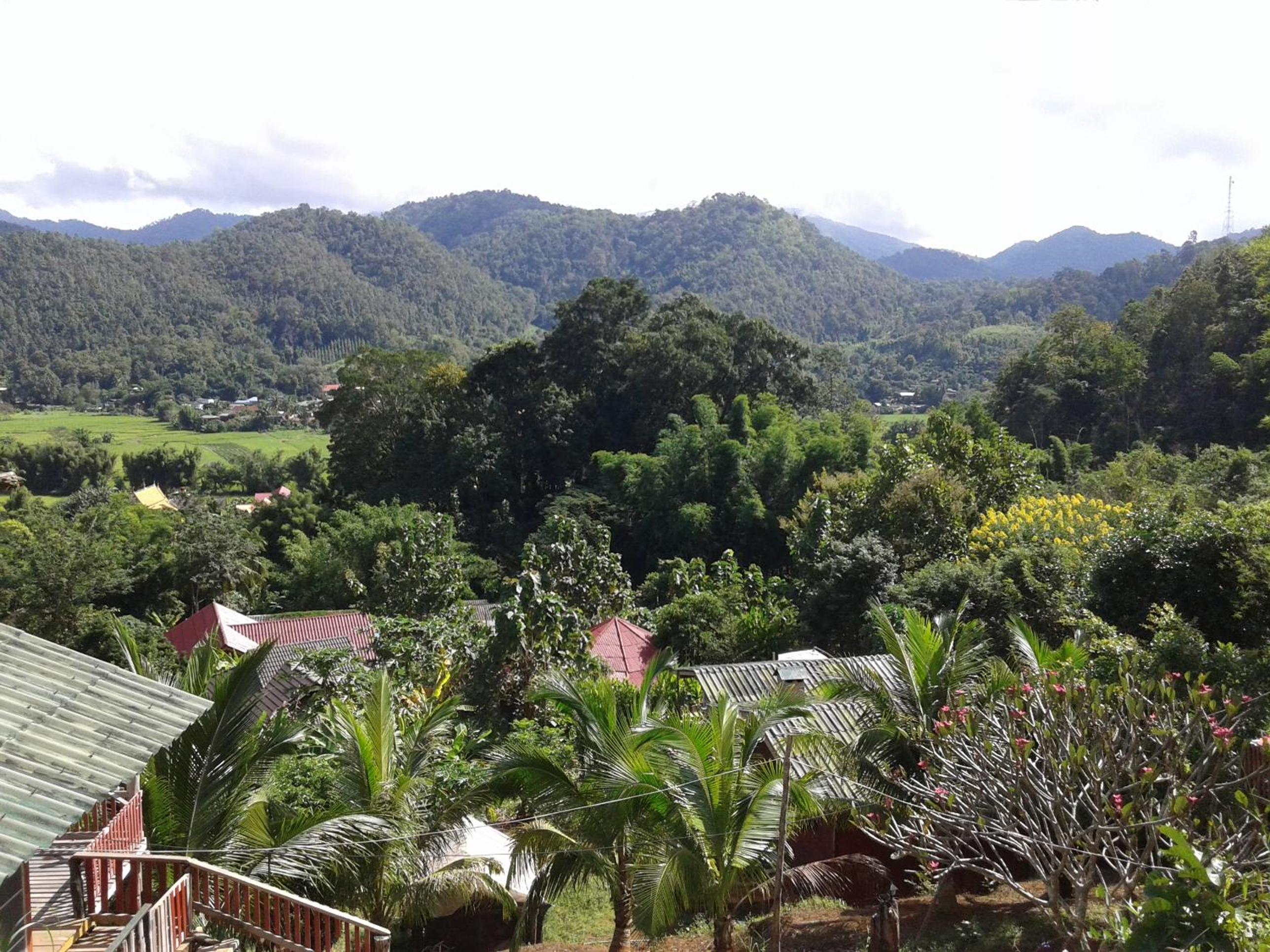 Forest Guesthouse