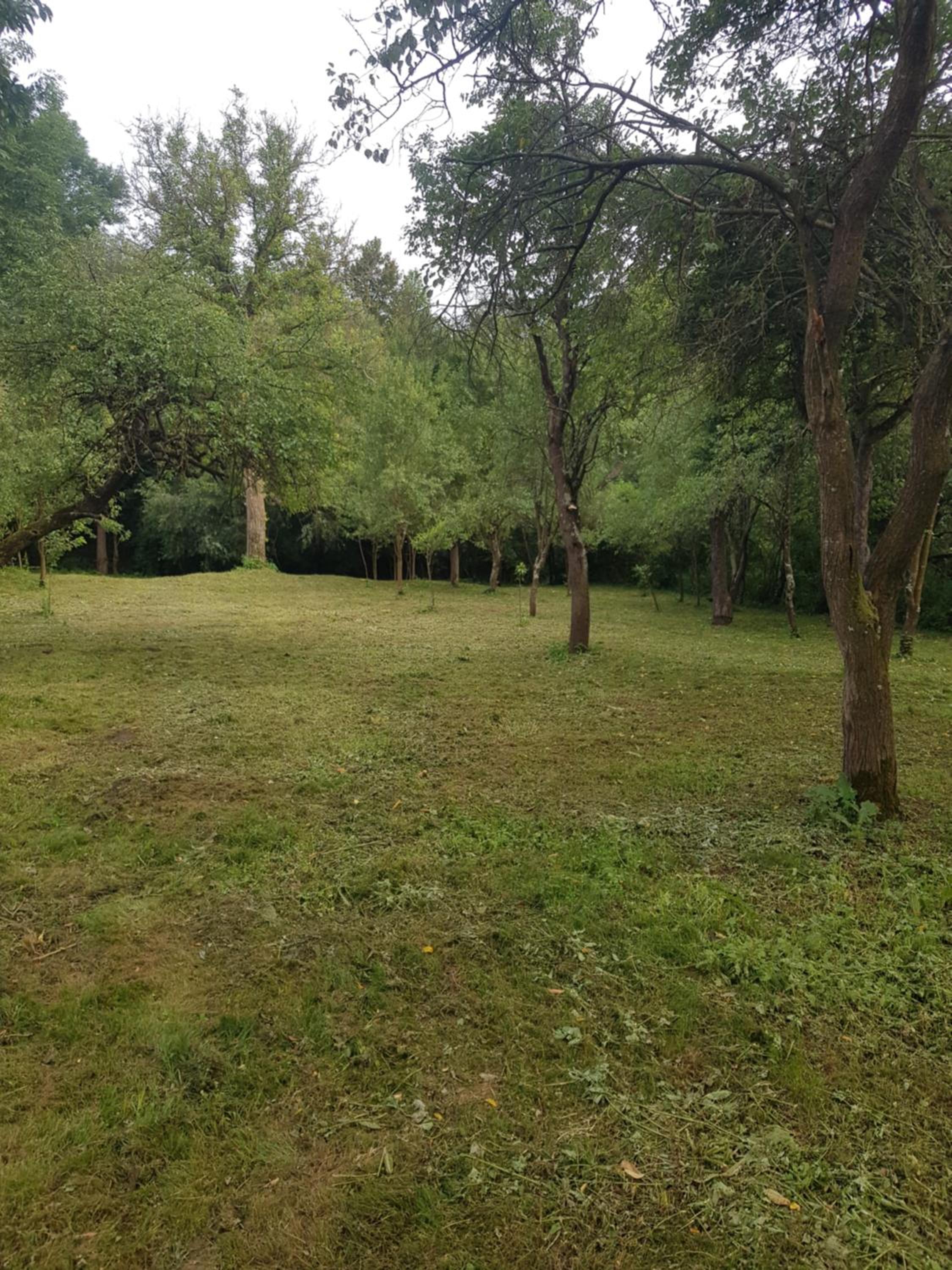 Photo 31