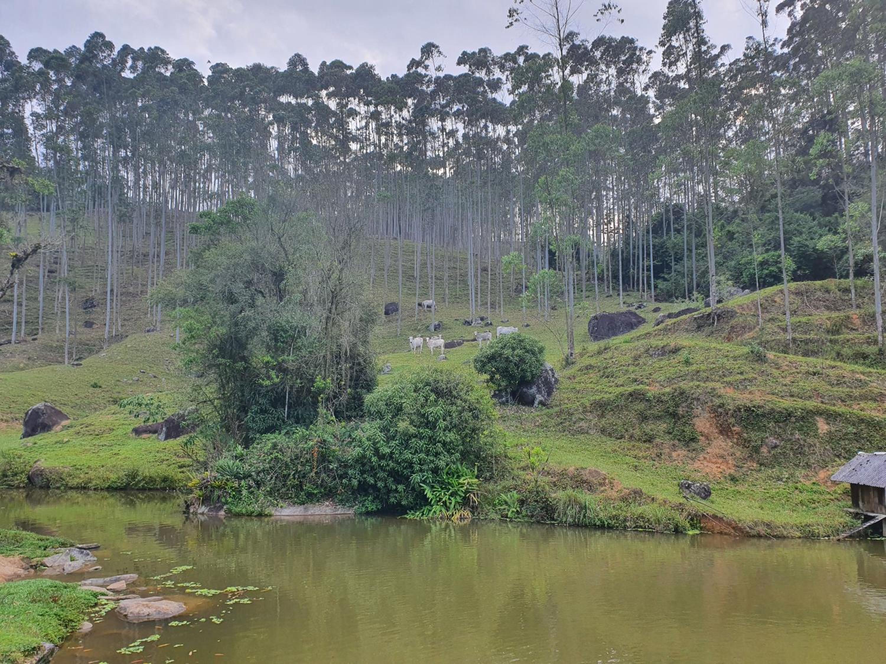 Cabana Vale da Liberdade
