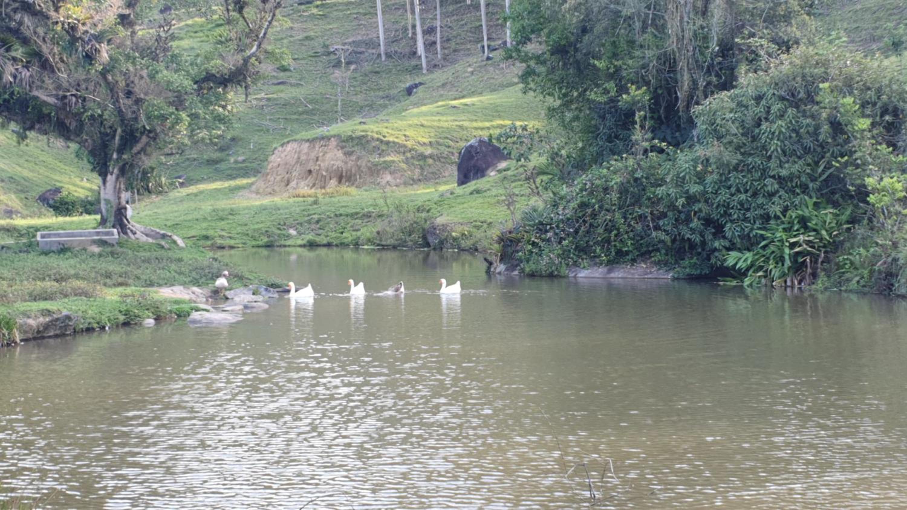 Cabana Vale da Liberdade